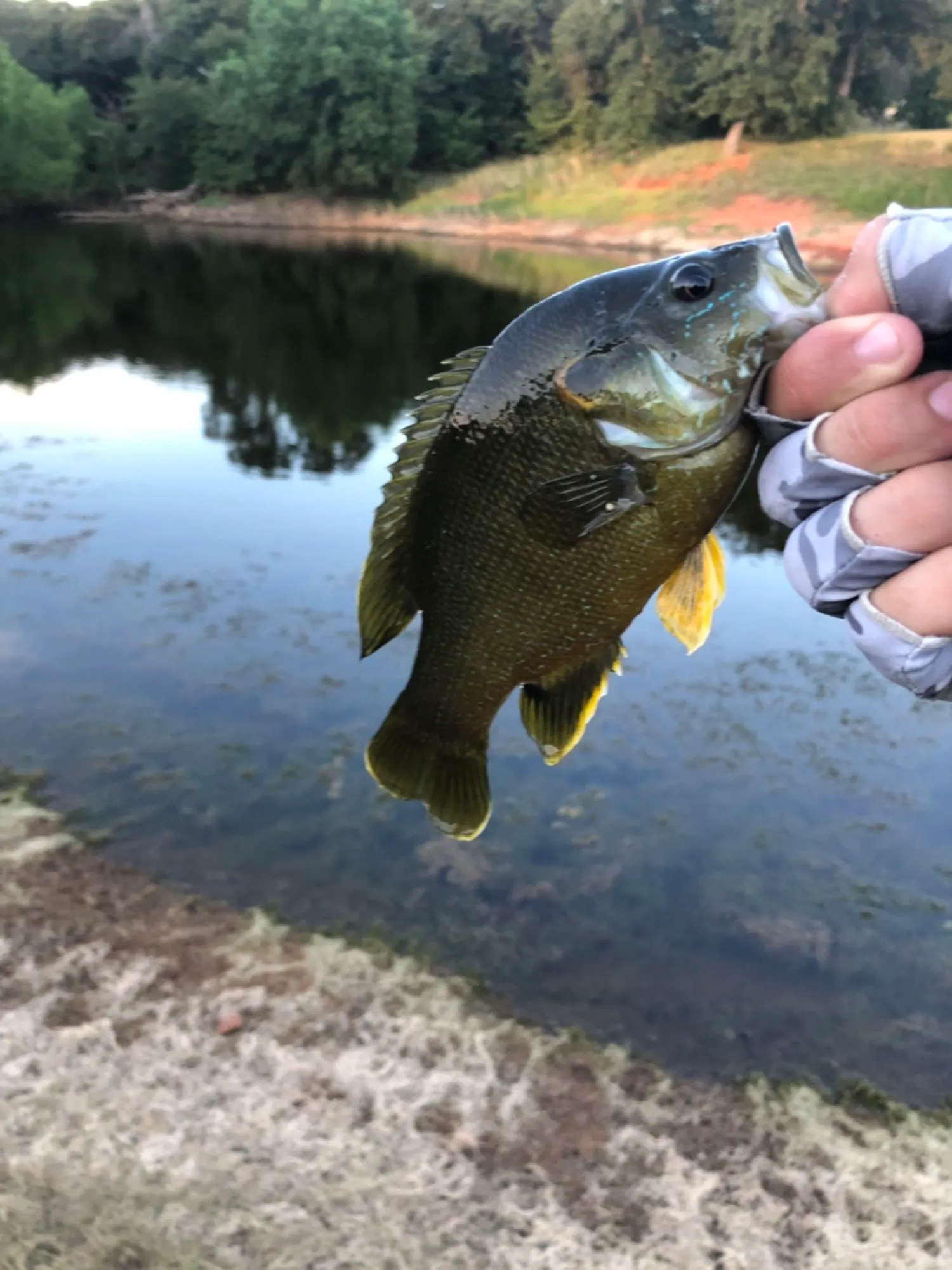 Post image from kaidensales