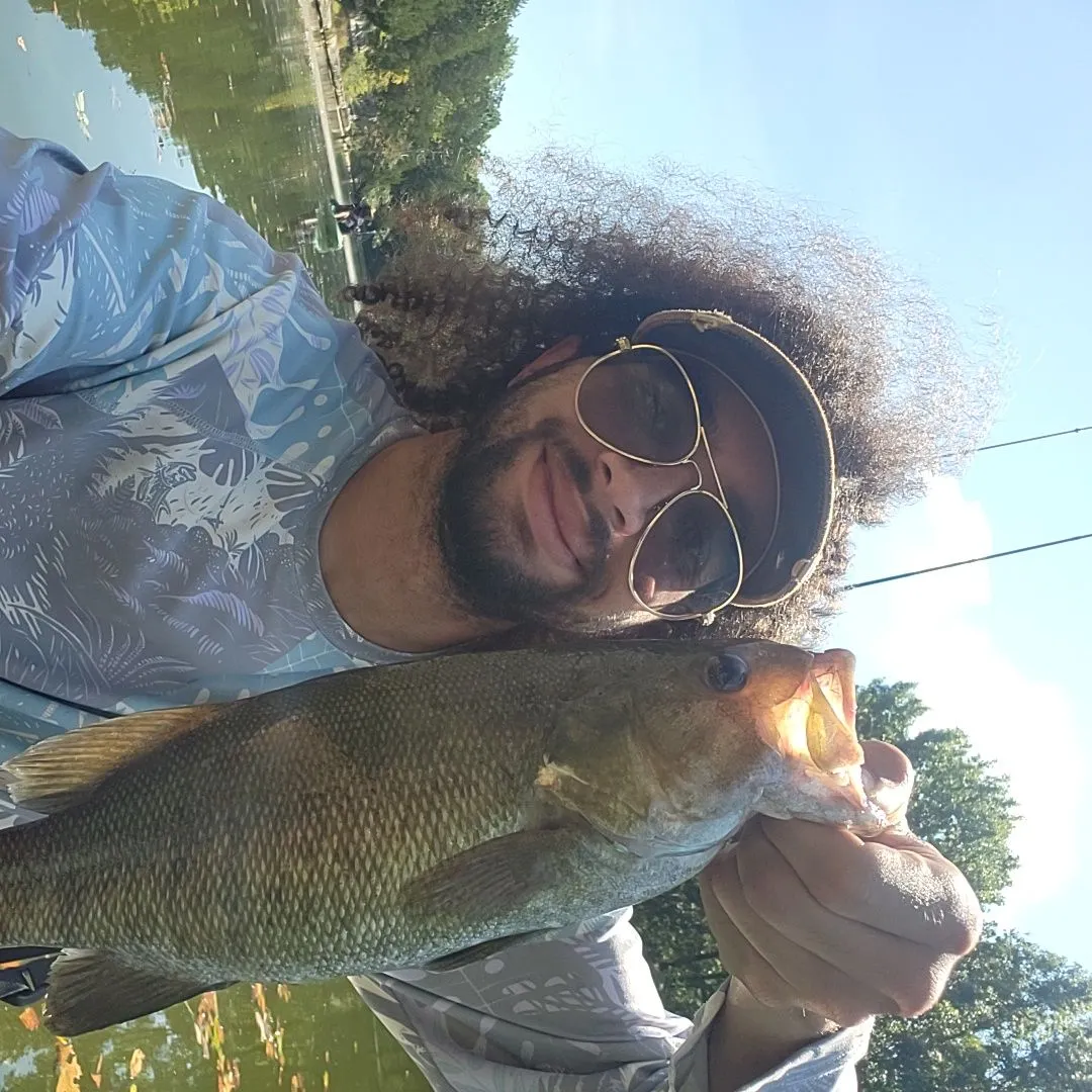 Smallmouth bass caught on Fishbrain