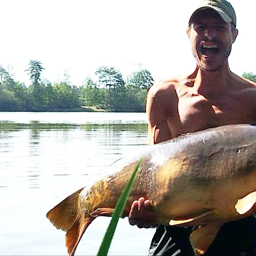 The most recent Leather carp catches on Fishbrain