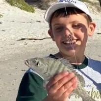 The most recent White steenbras catches on Fishbrain