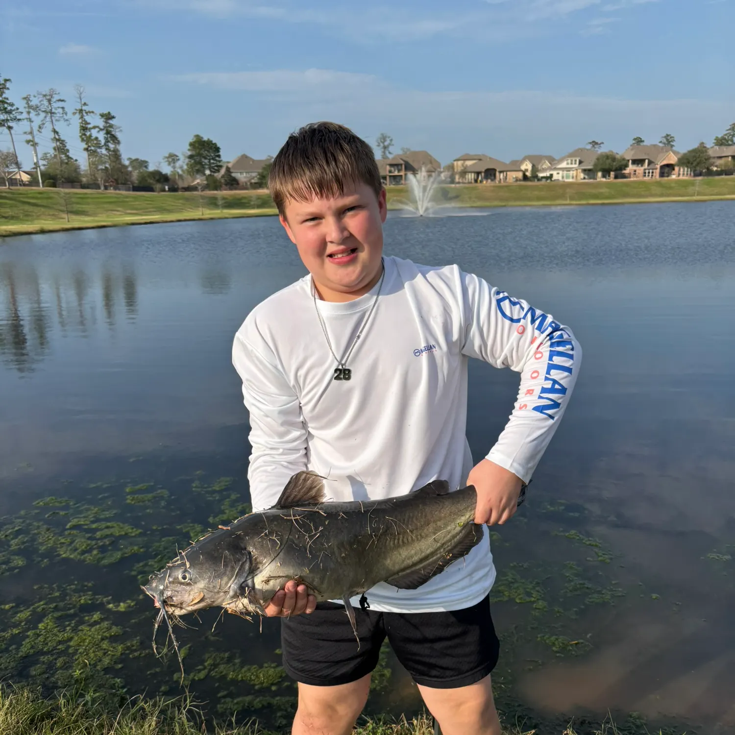 The most recent Black bullhead catches on Fishbrain