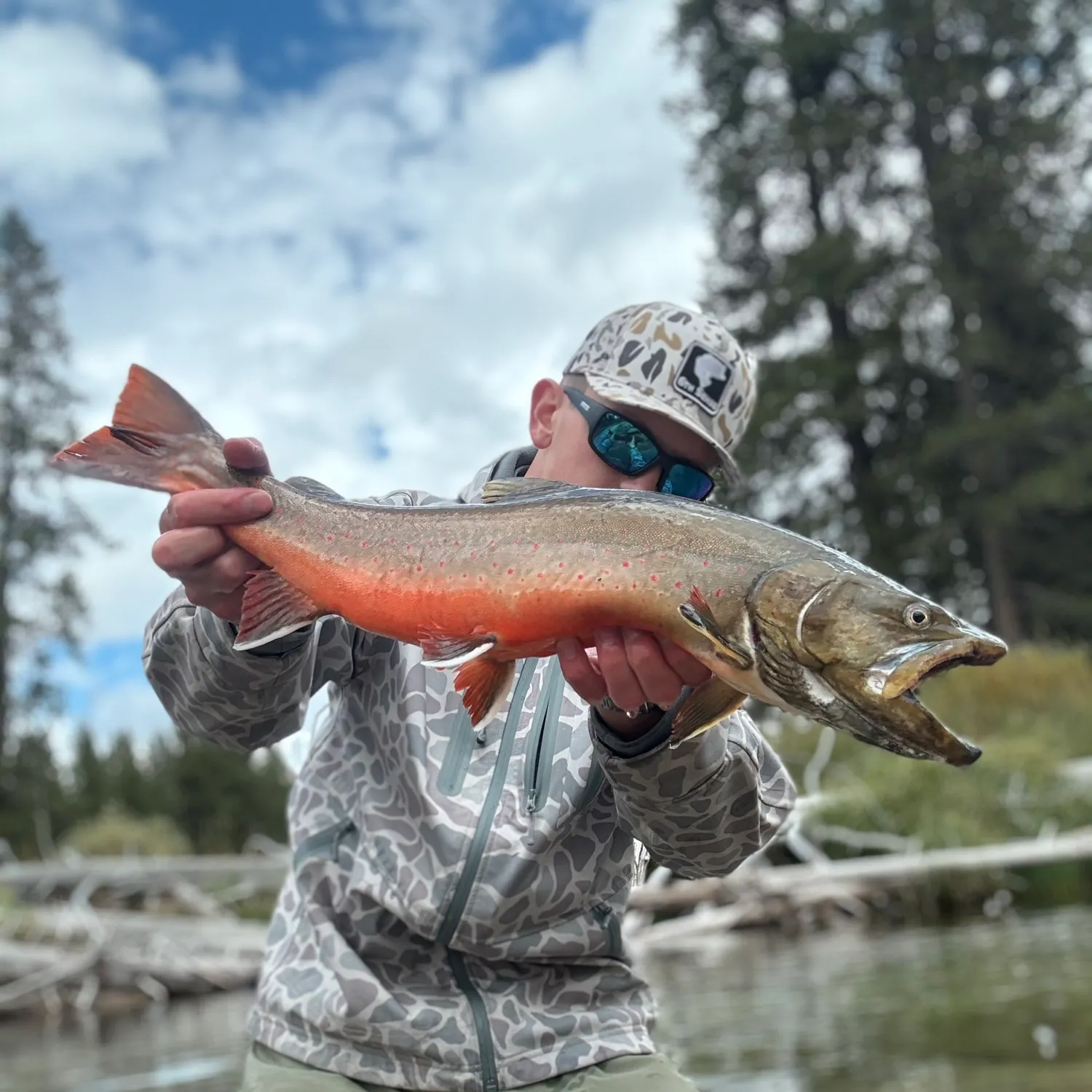 Bull trout caught on Fishbrain