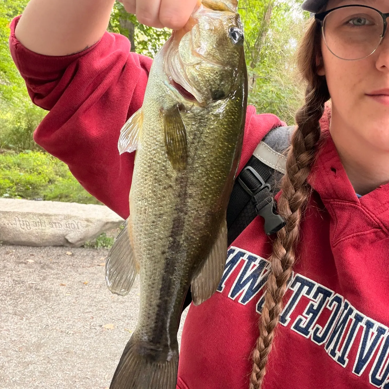 Largemouth bass caught on Fishbrain