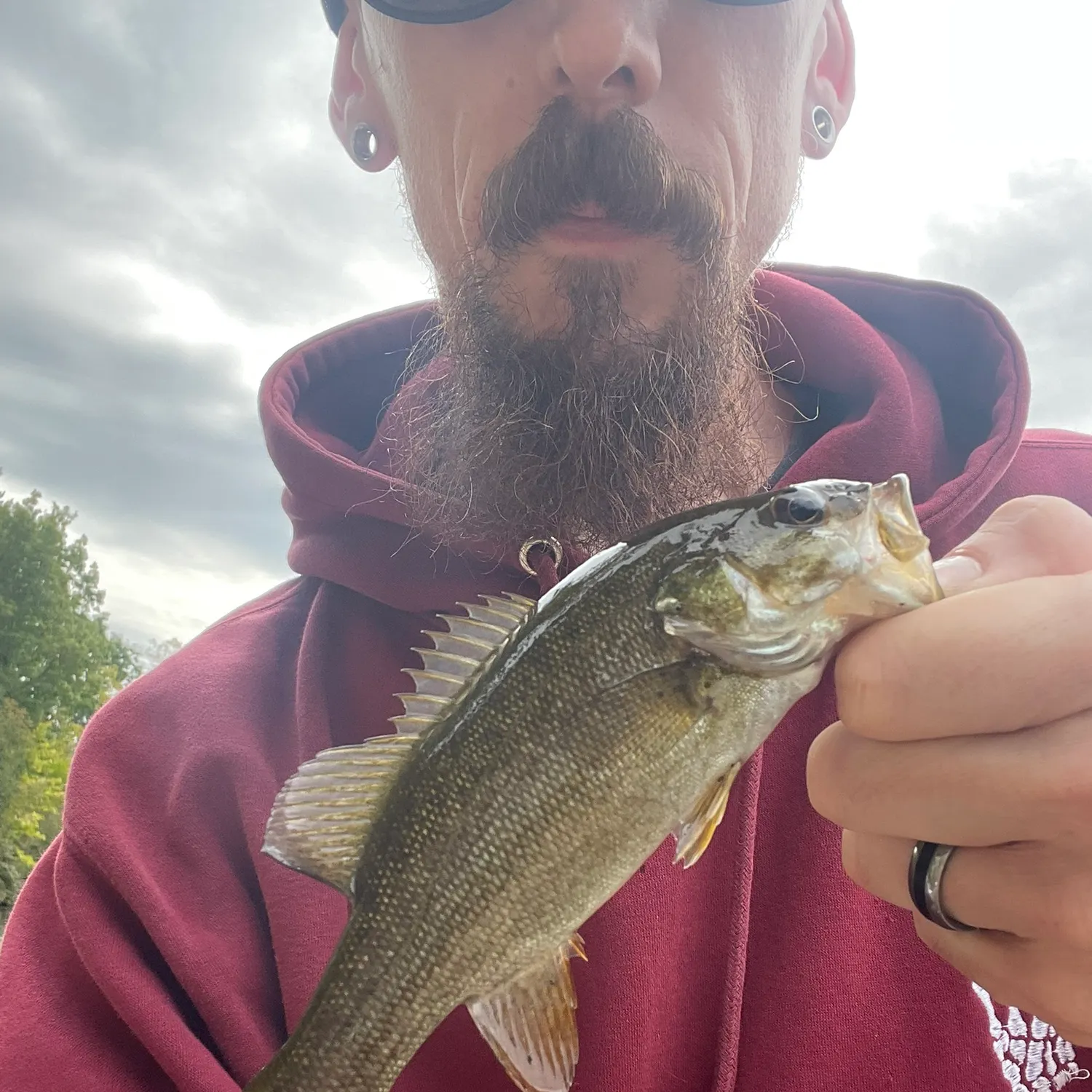 Smallmouth bass caught on Fishbrain