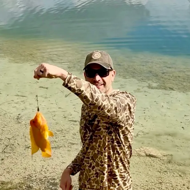 The most recent Midas cichlid catches on Fishbrain