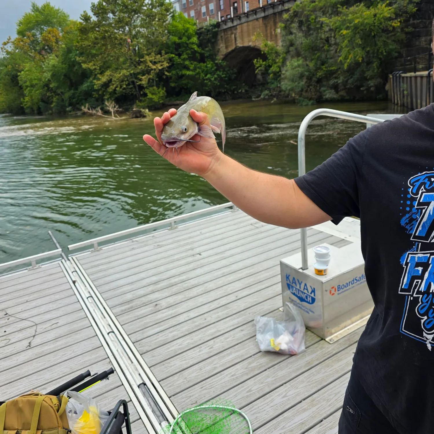 White bullhead caught on Fishbrain