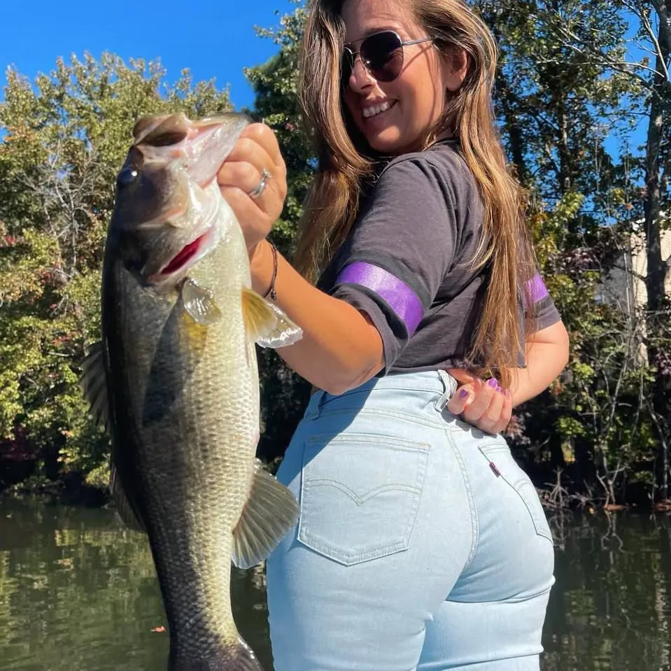 The most recent Granulated catfish catches on Fishbrain