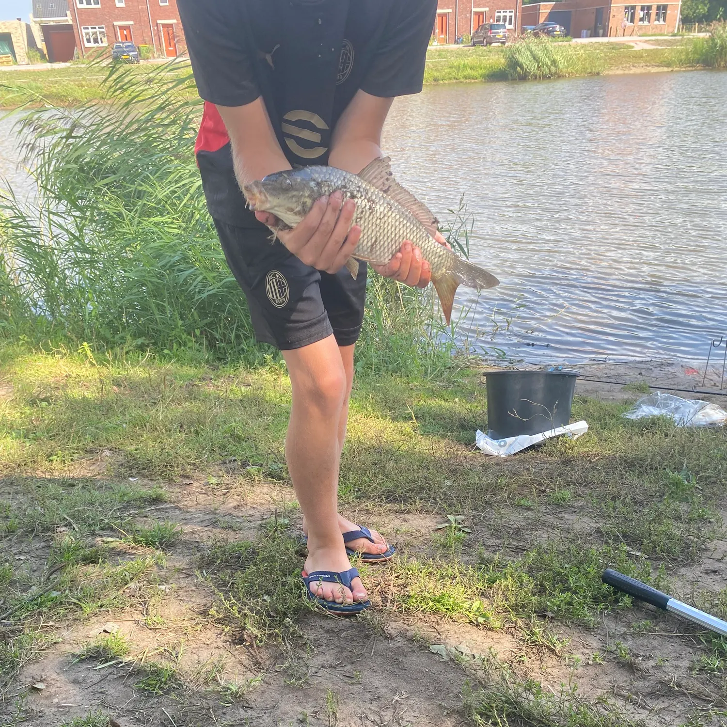 Grass carp caught on Fishbrain