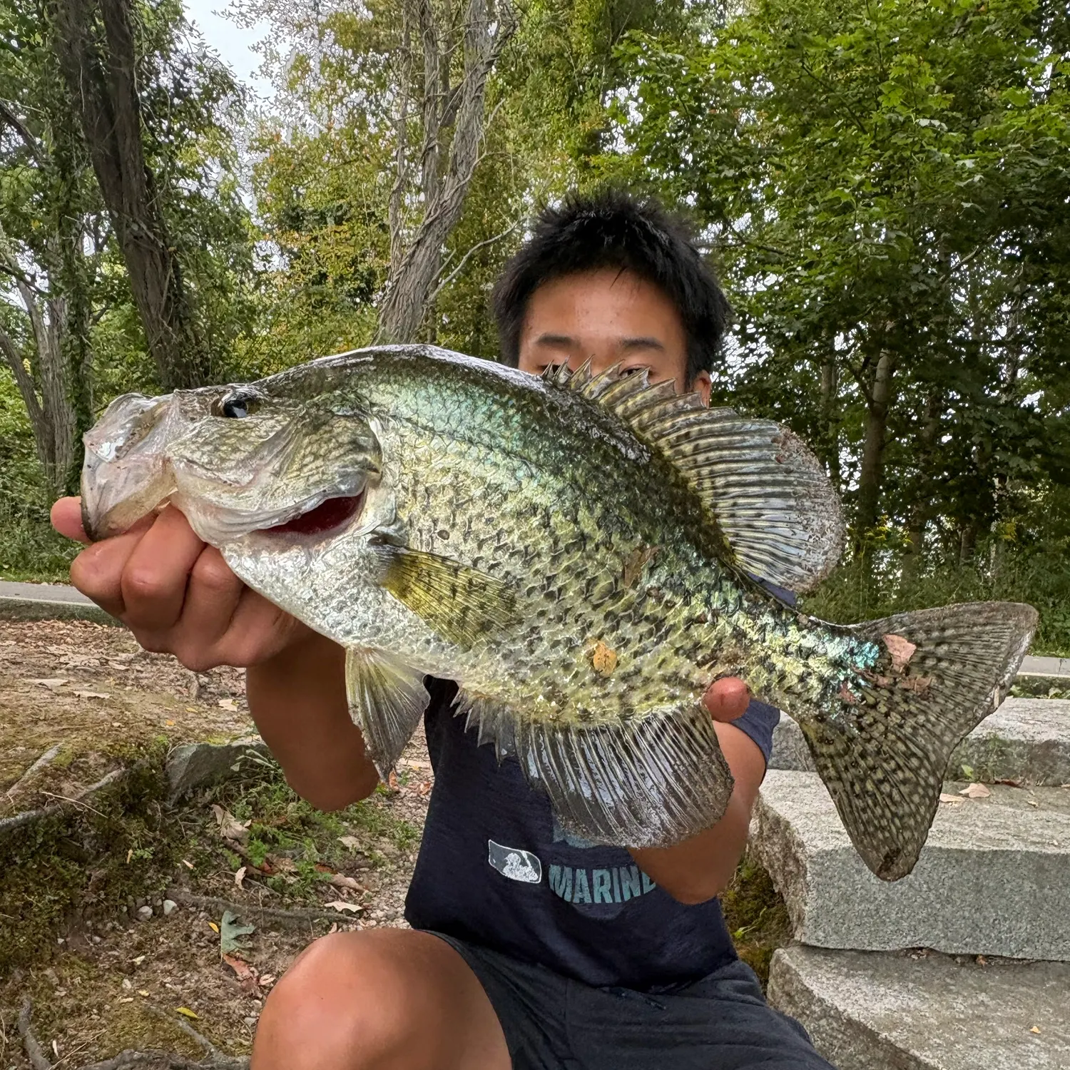 Black crappie caught on Fishbrain