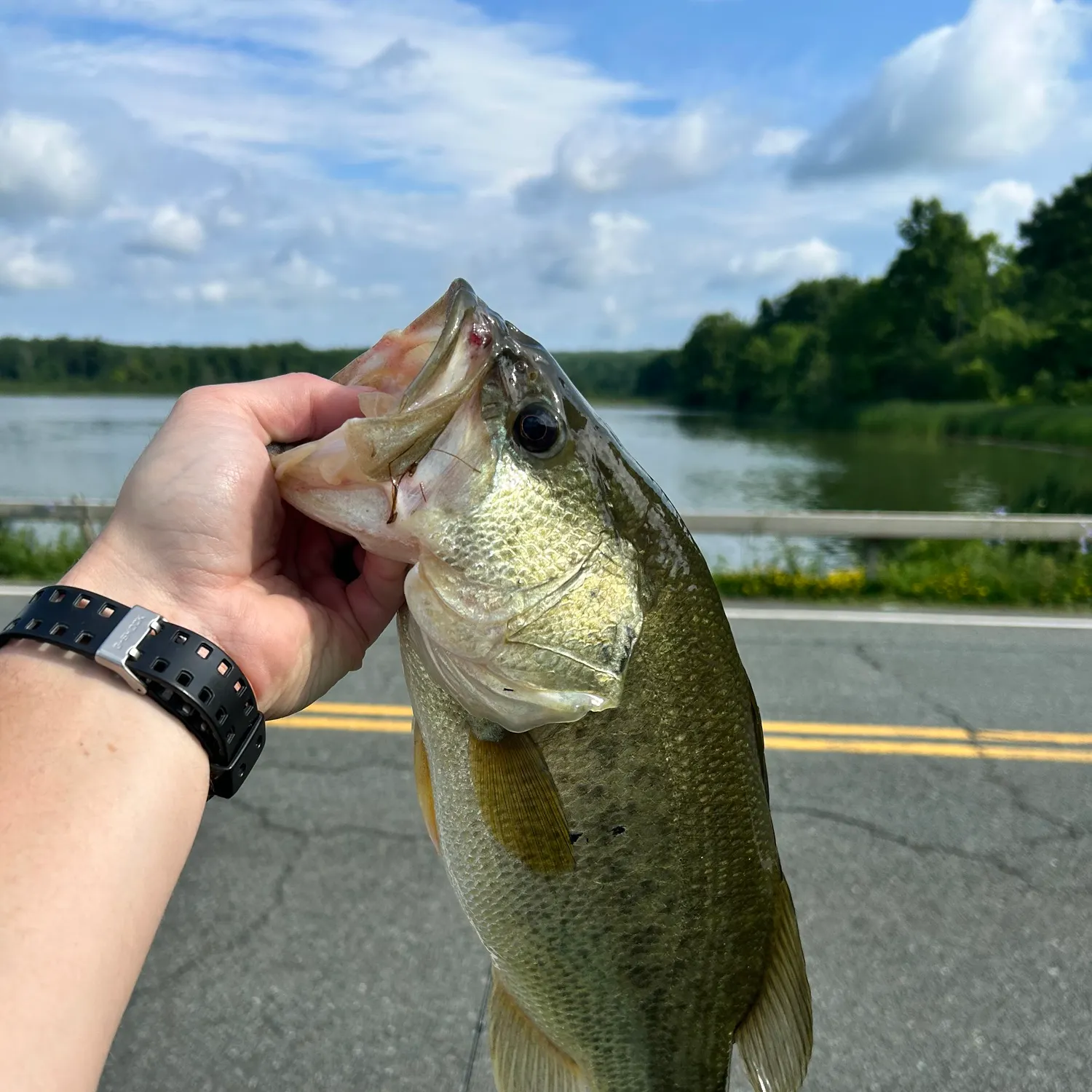 catch