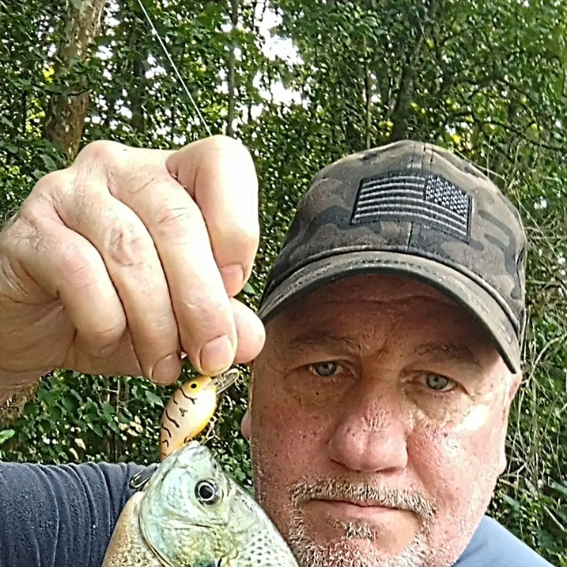 Bluegill caught on Fishbrain
