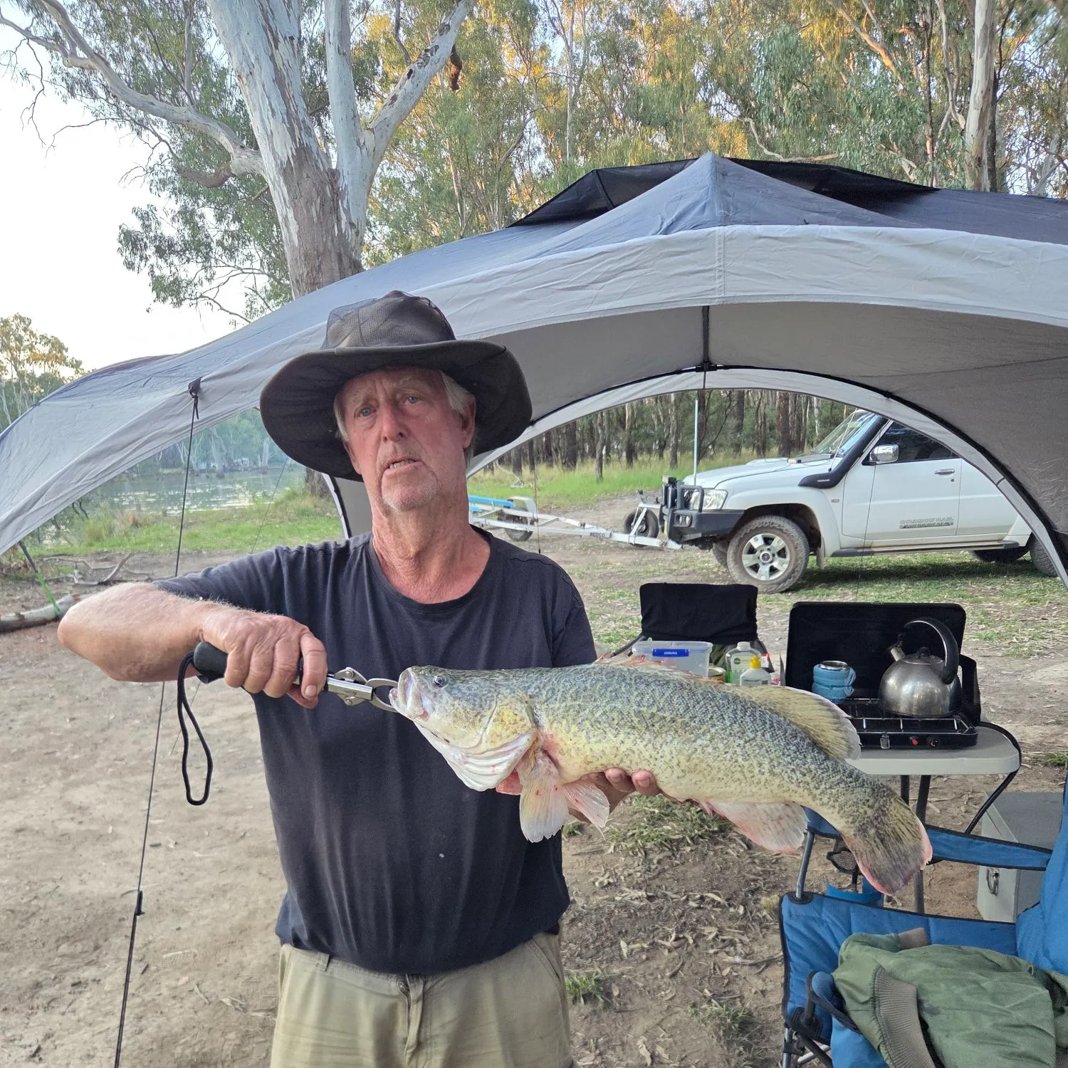 The most recent Murray cod catches on Fishbrain
