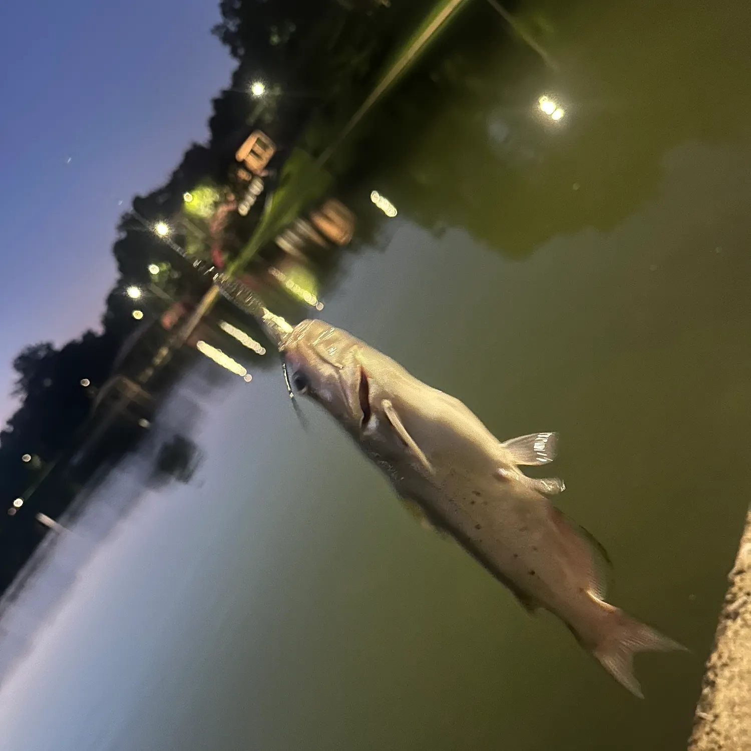 catch