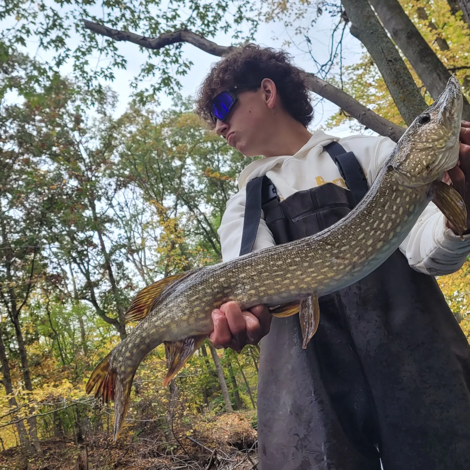 Northern pike caught on Fishbrain