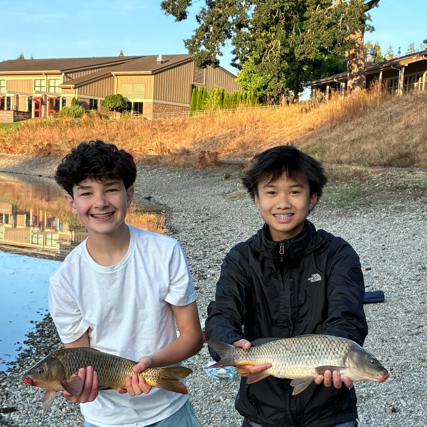 Common carp caught on Fishbrain