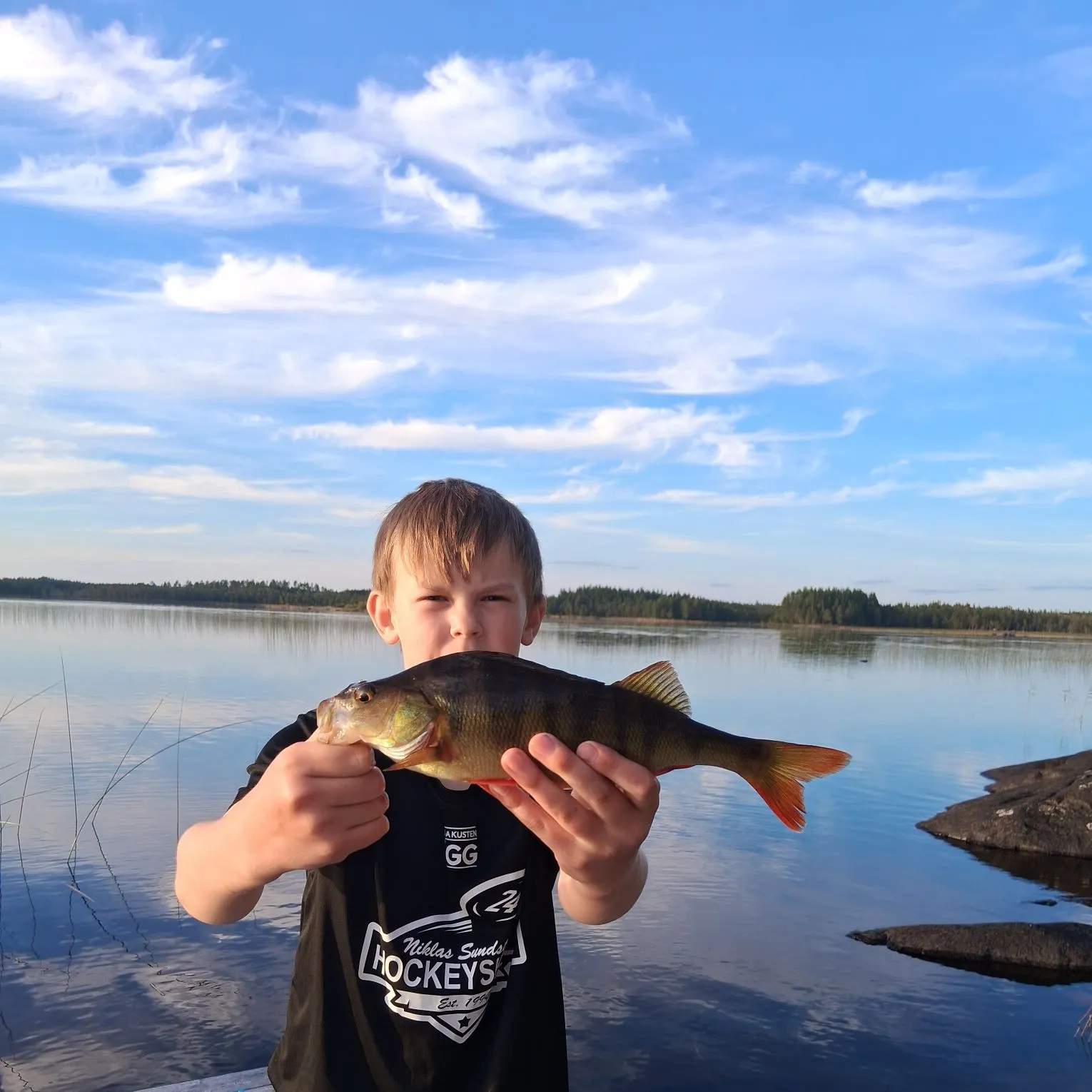 European perch caught on Fishbrain