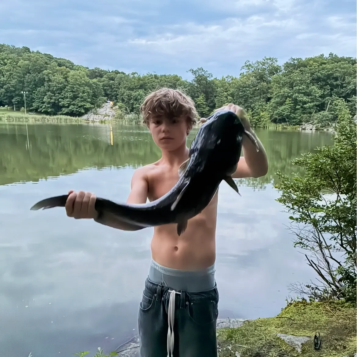 Channel catfish caught on Fishbrain