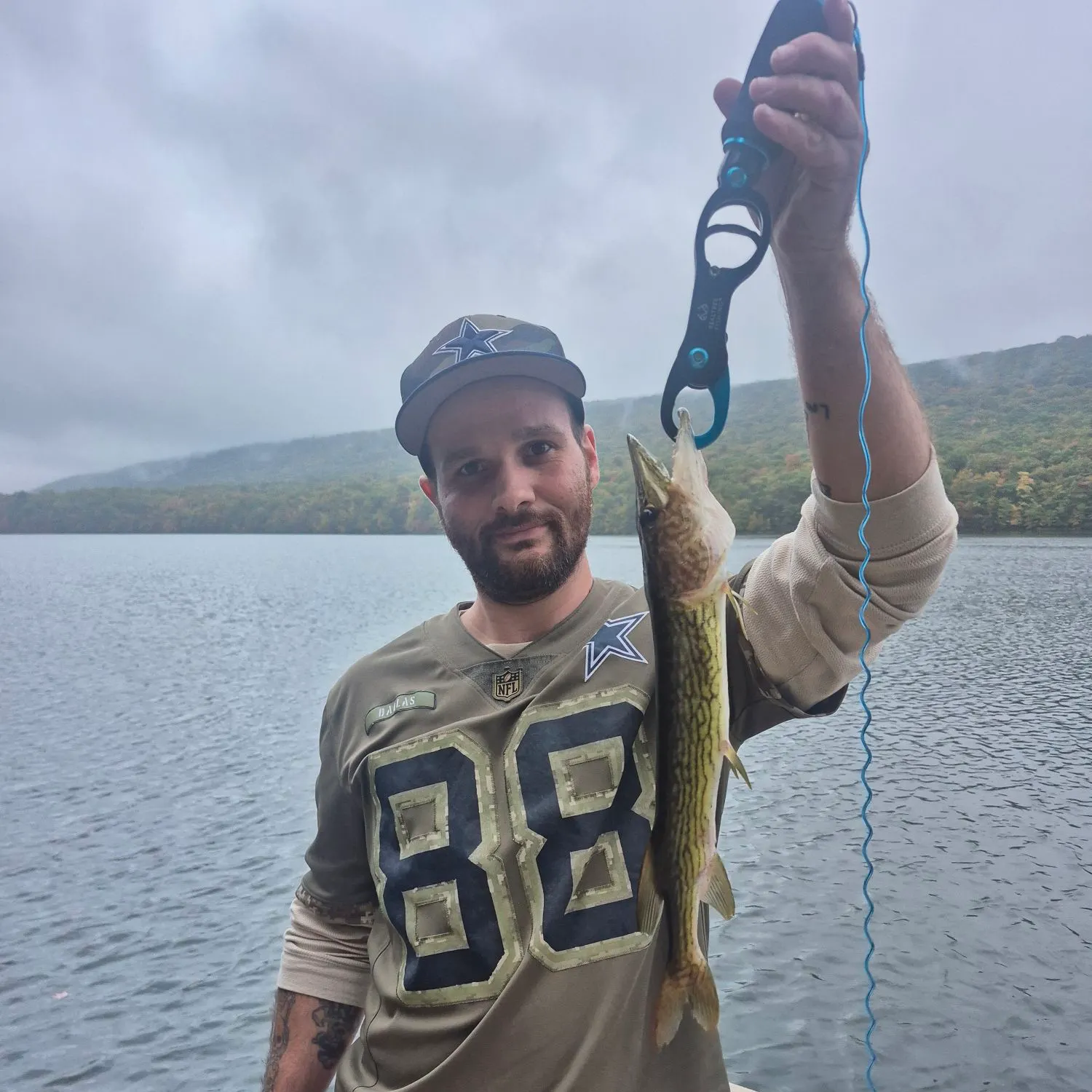Chain pickerel caught on Fishbrain