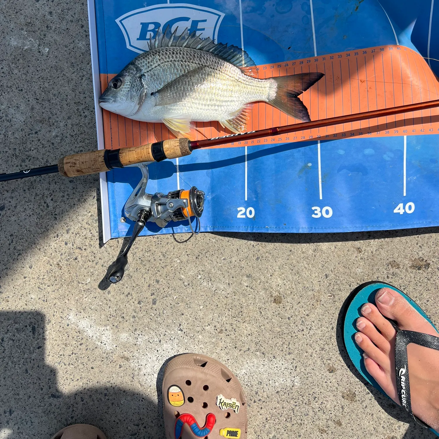 recently logged catches