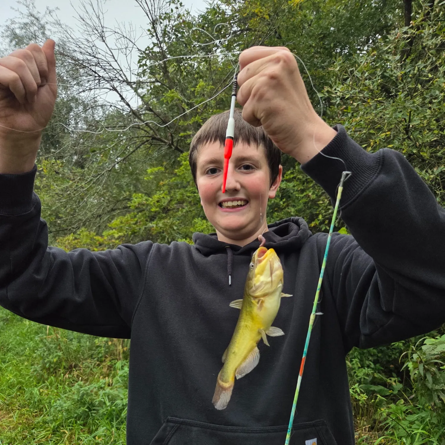Yellow bullhead caught on Fishbrain