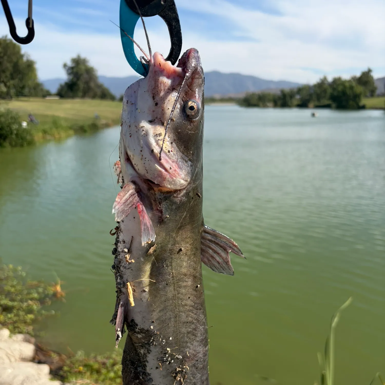 catch
