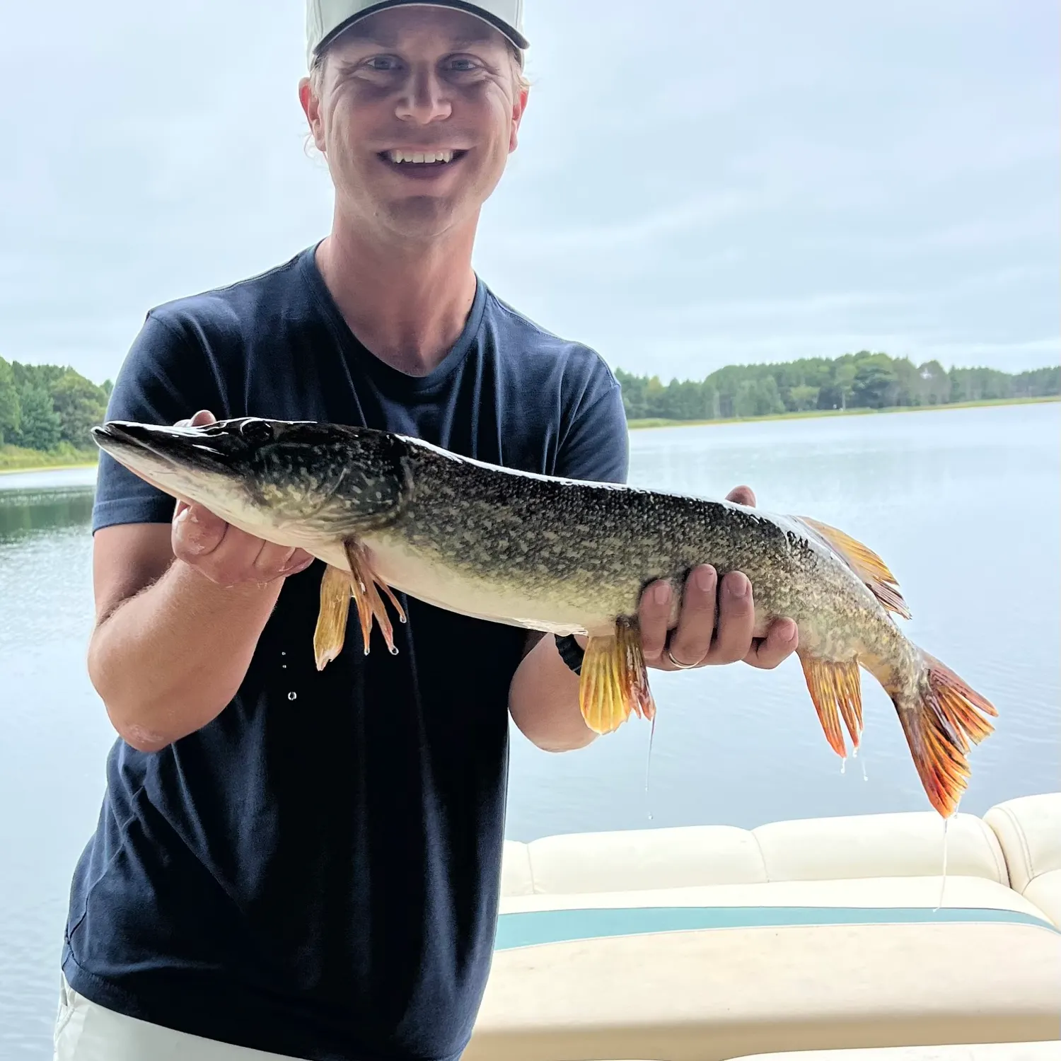 Northern pike caught on Fishbrain