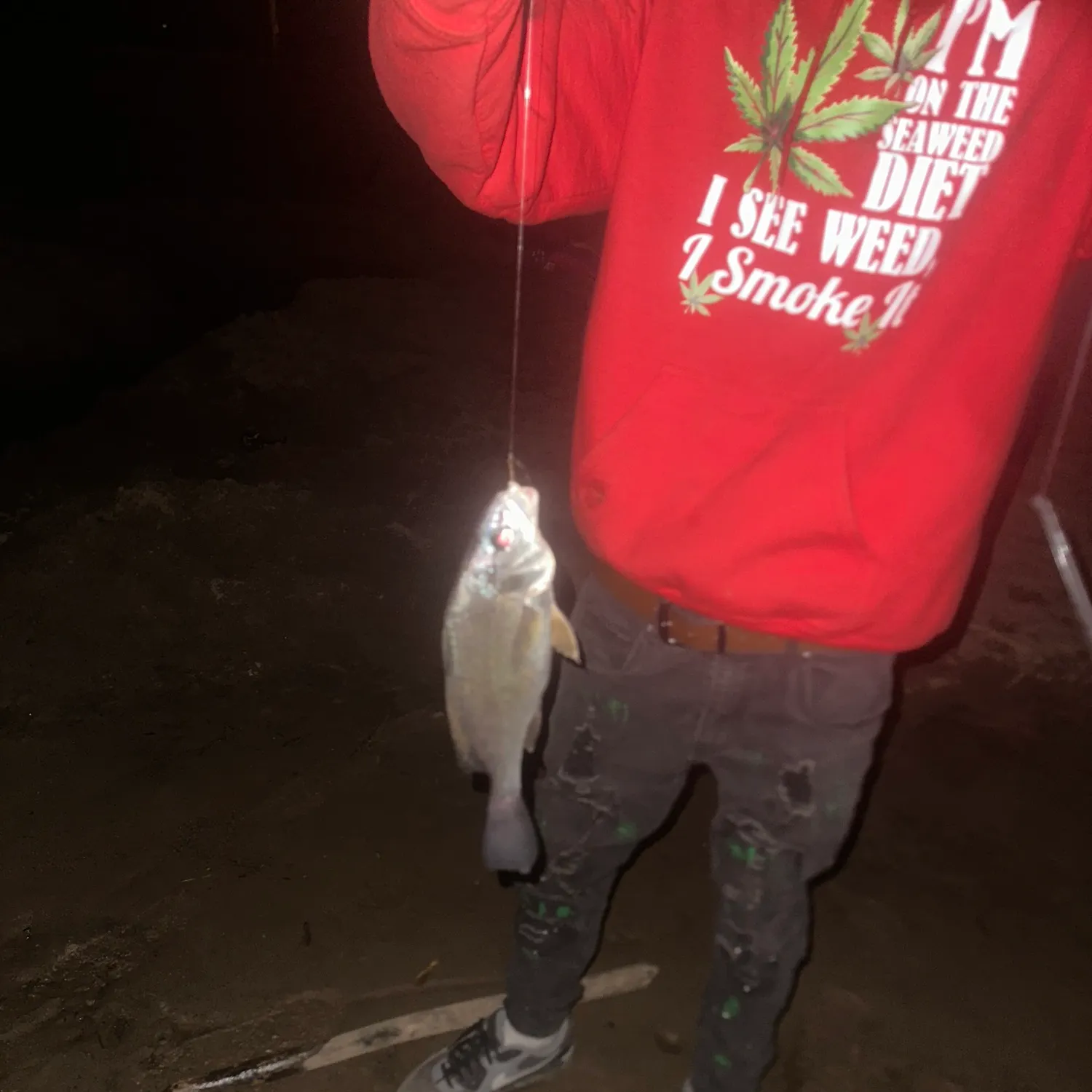 The most recent Freshwater drum catches on Fishbrain