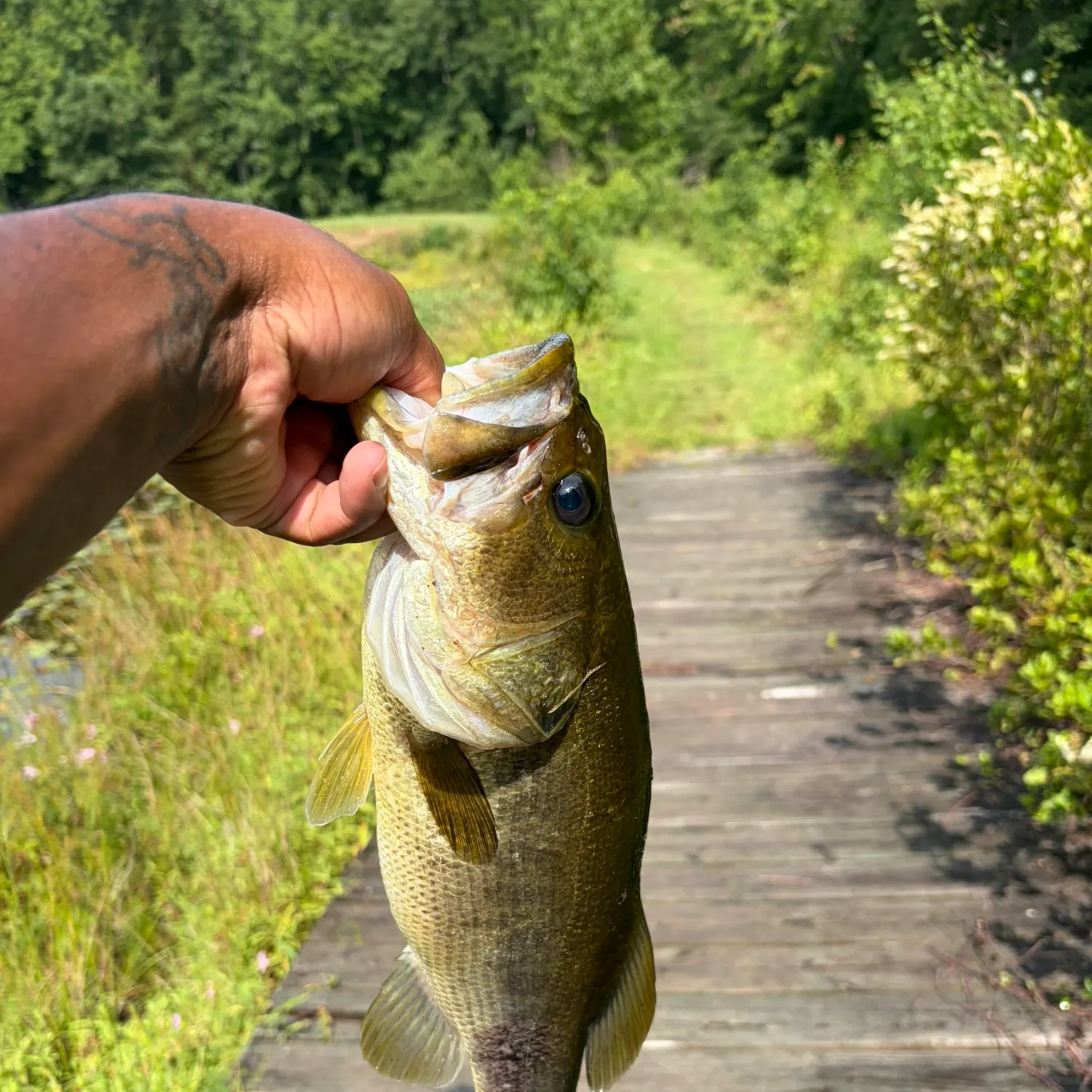 catch