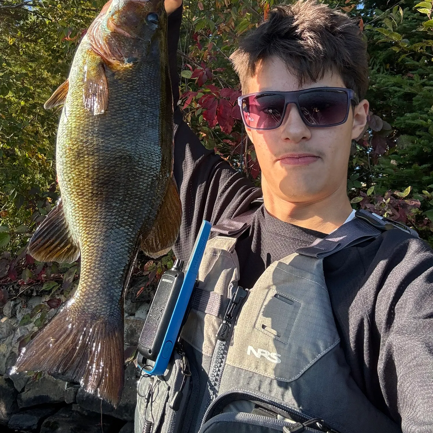Smallmouth bass caught on Fishbrain