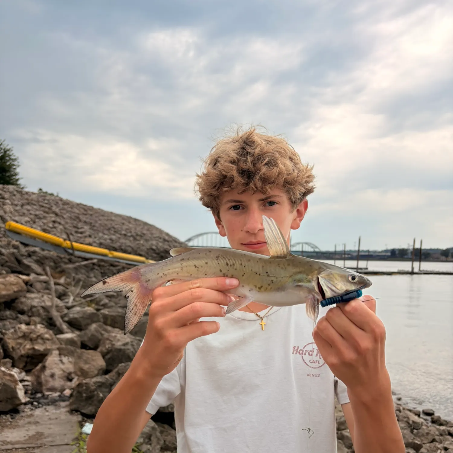Channel catfish caught on Fishbrain