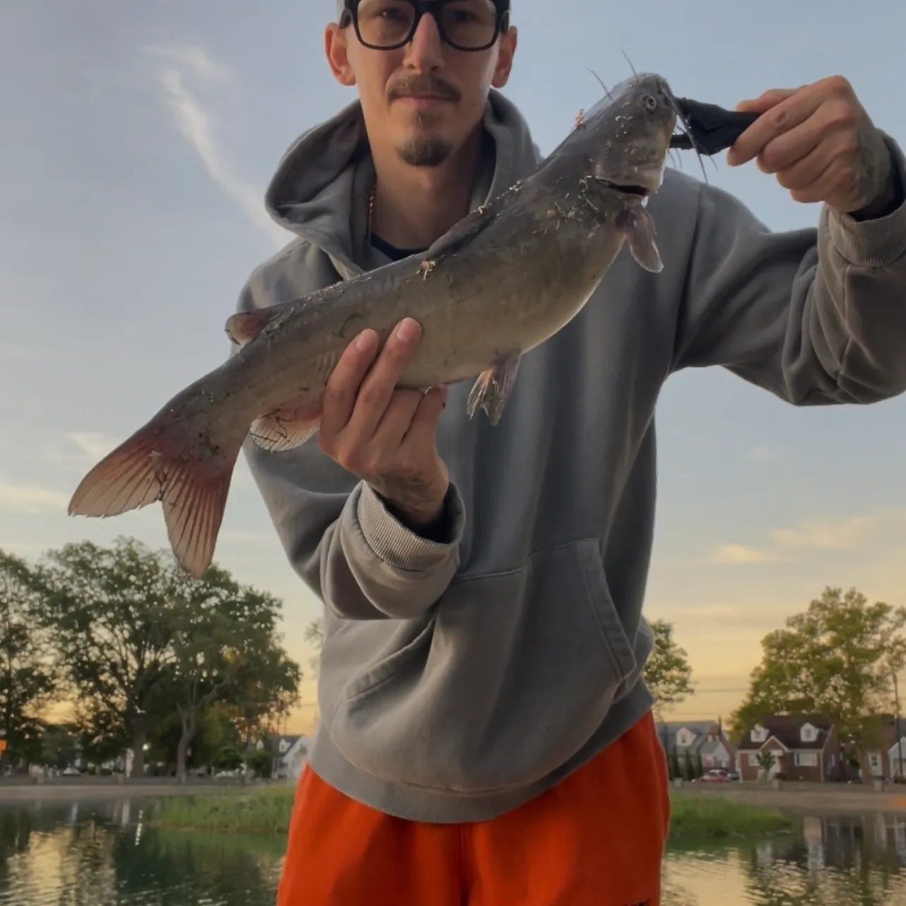Channel catfish caught on Fishbrain