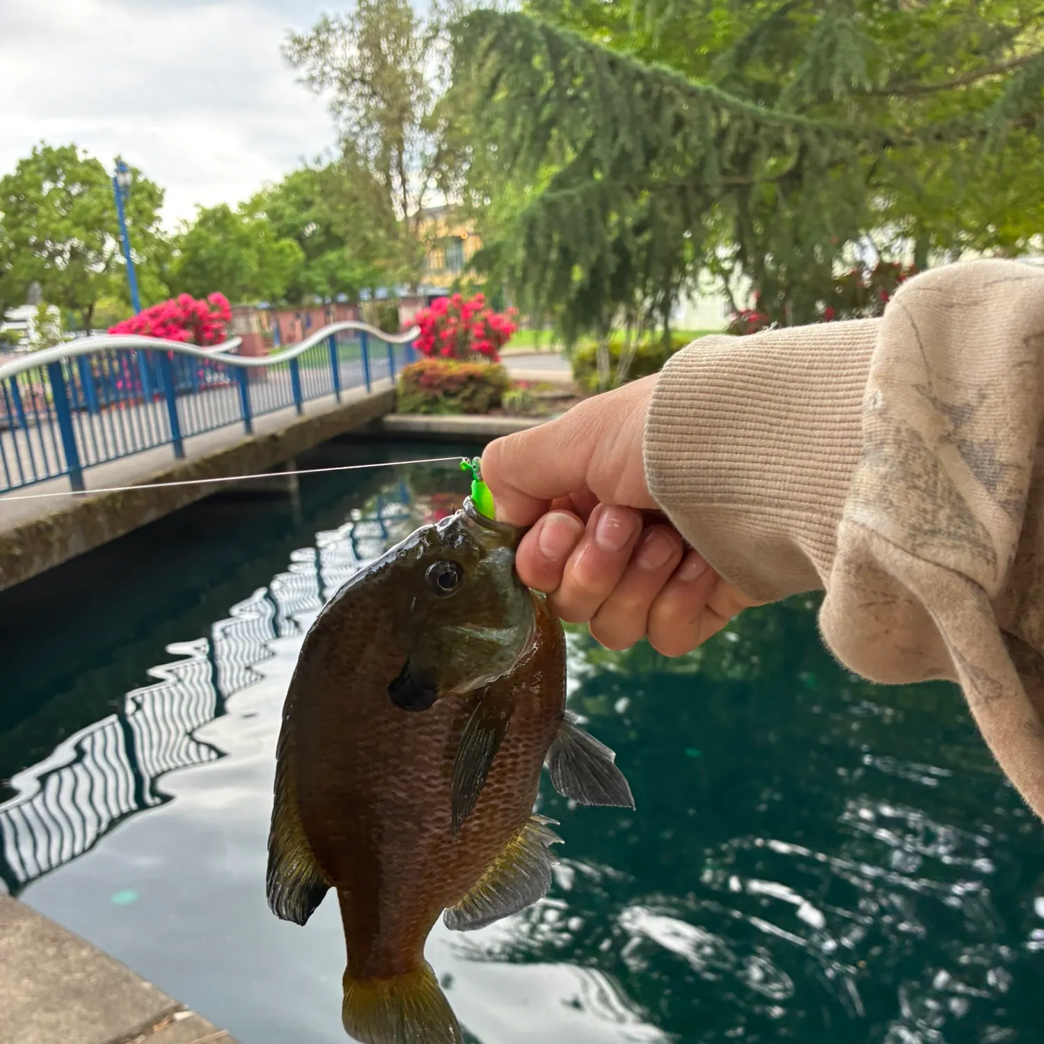 catch