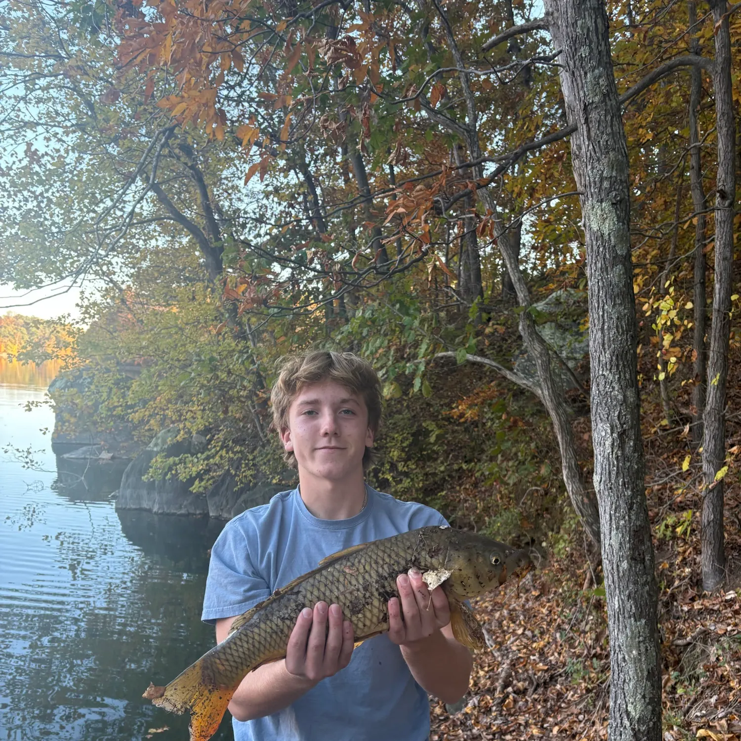 Common carp caught on Fishbrain