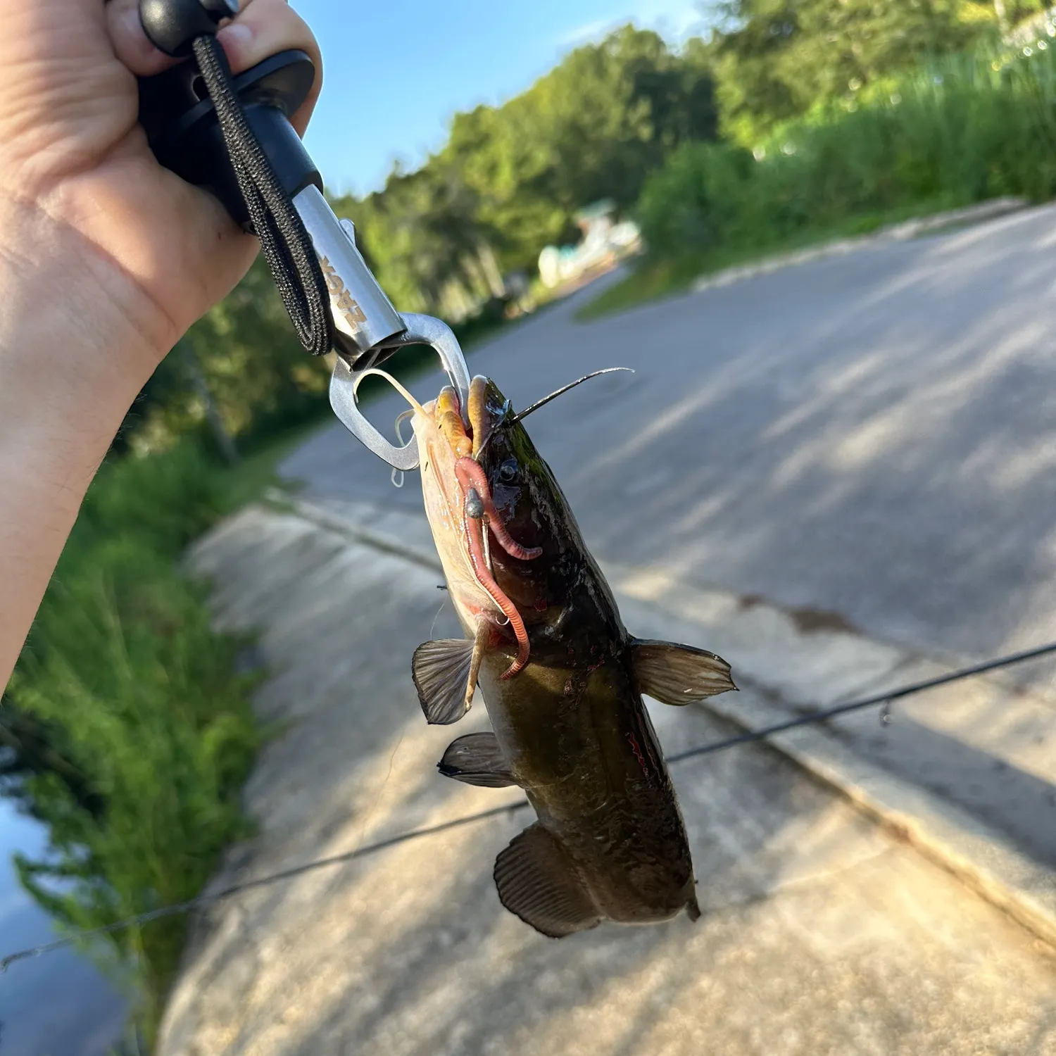 catch