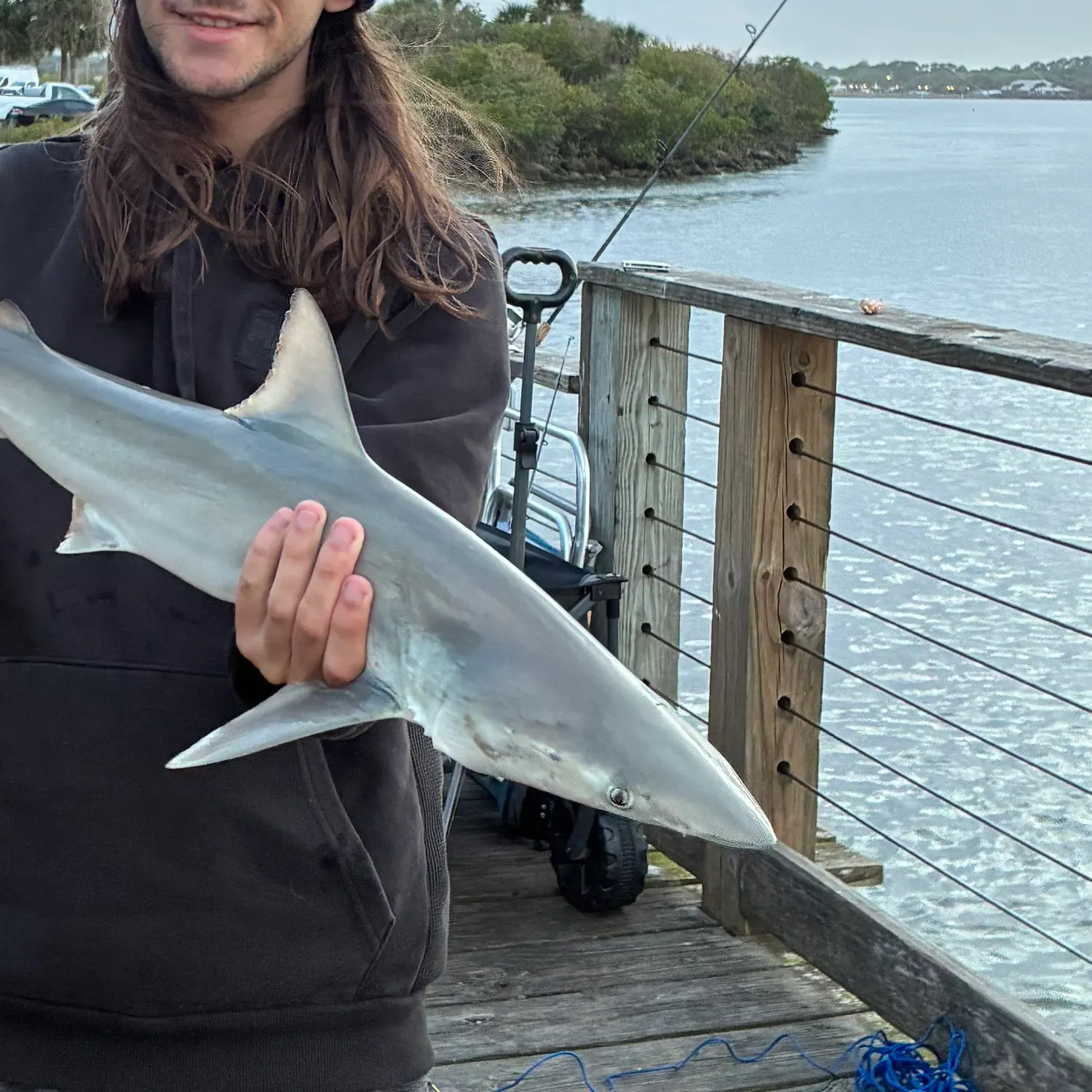 The most recent Finetooth shark catches on Fishbrain