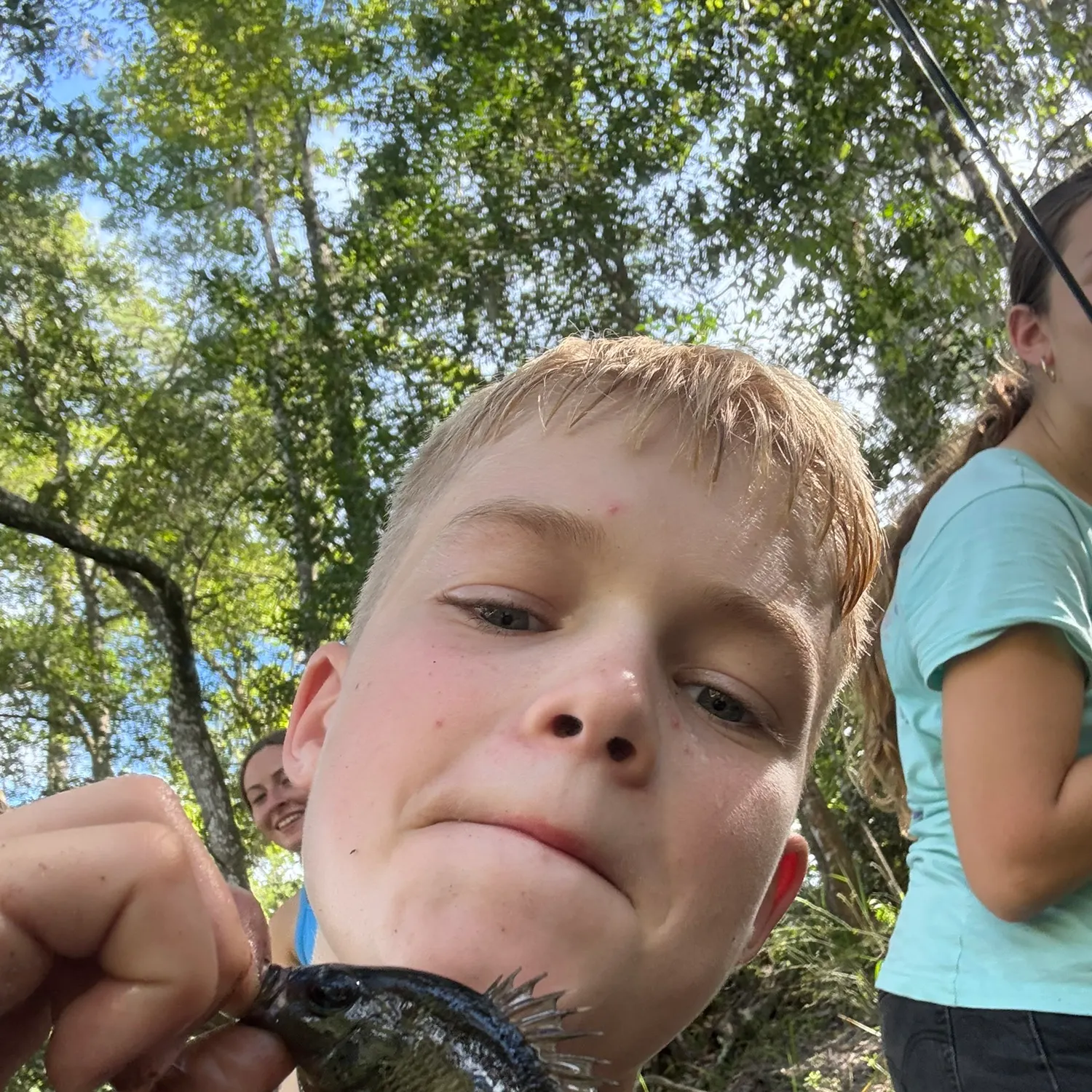 Spotted sunfish caught on Fishbrain
