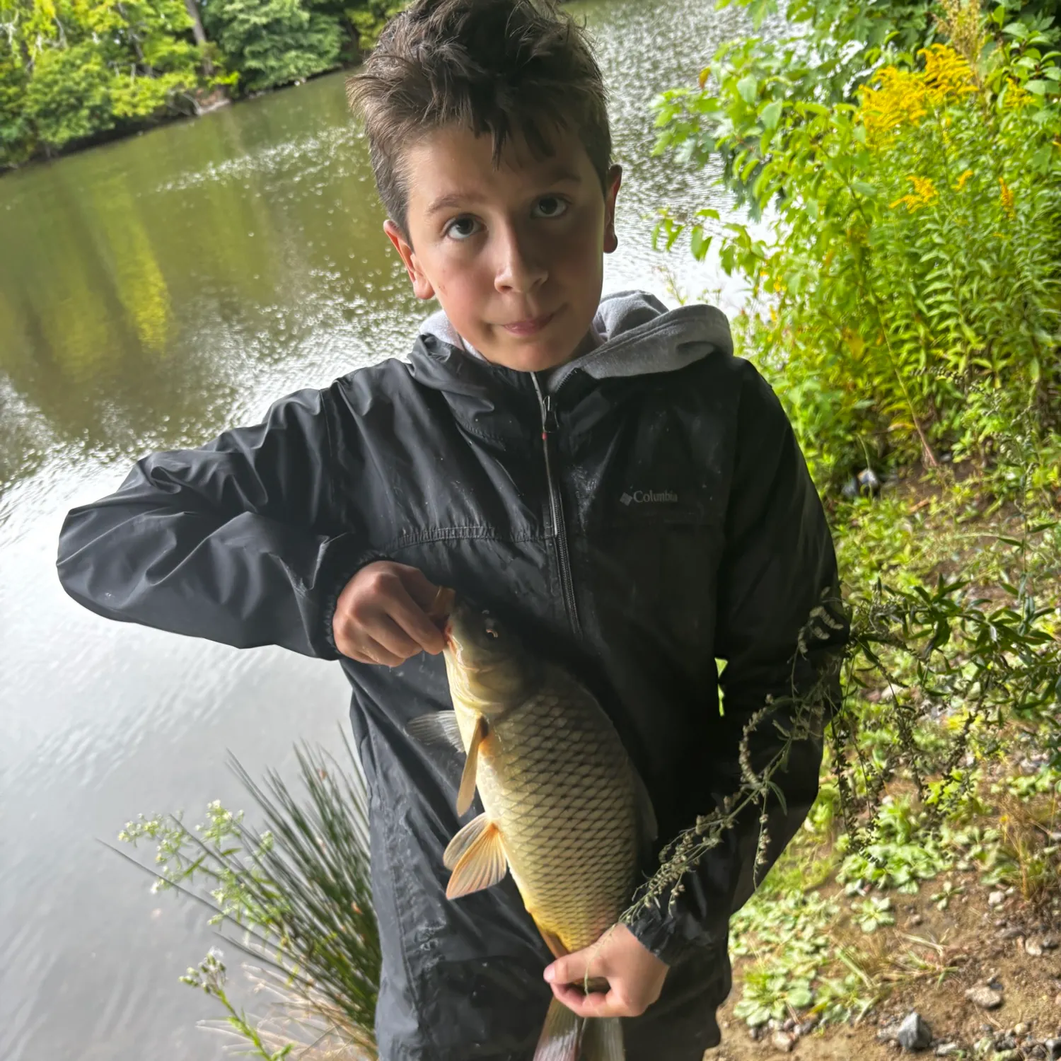 Common carp caught on Fishbrain