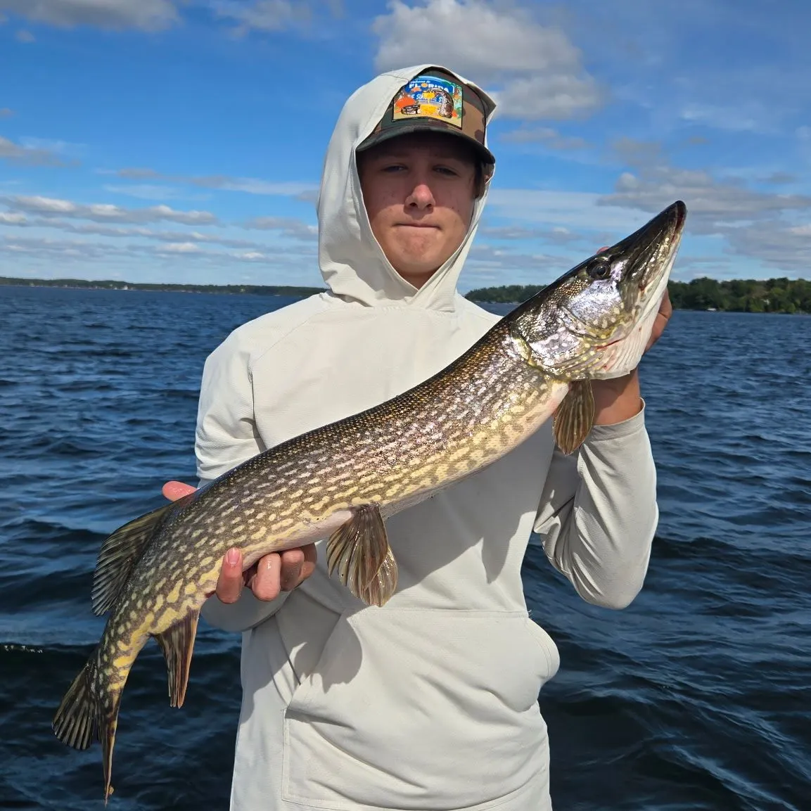 Northern pike caught on Fishbrain