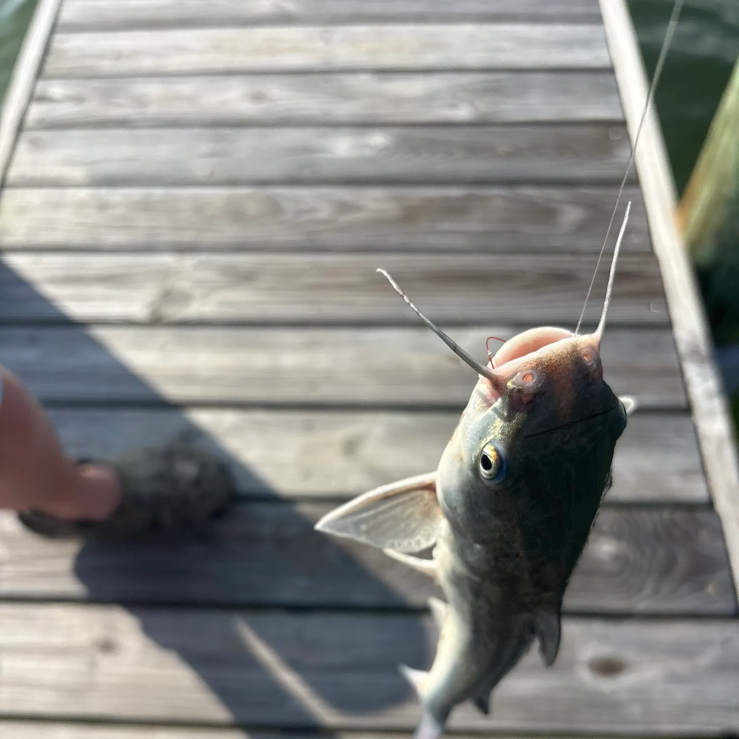 catch