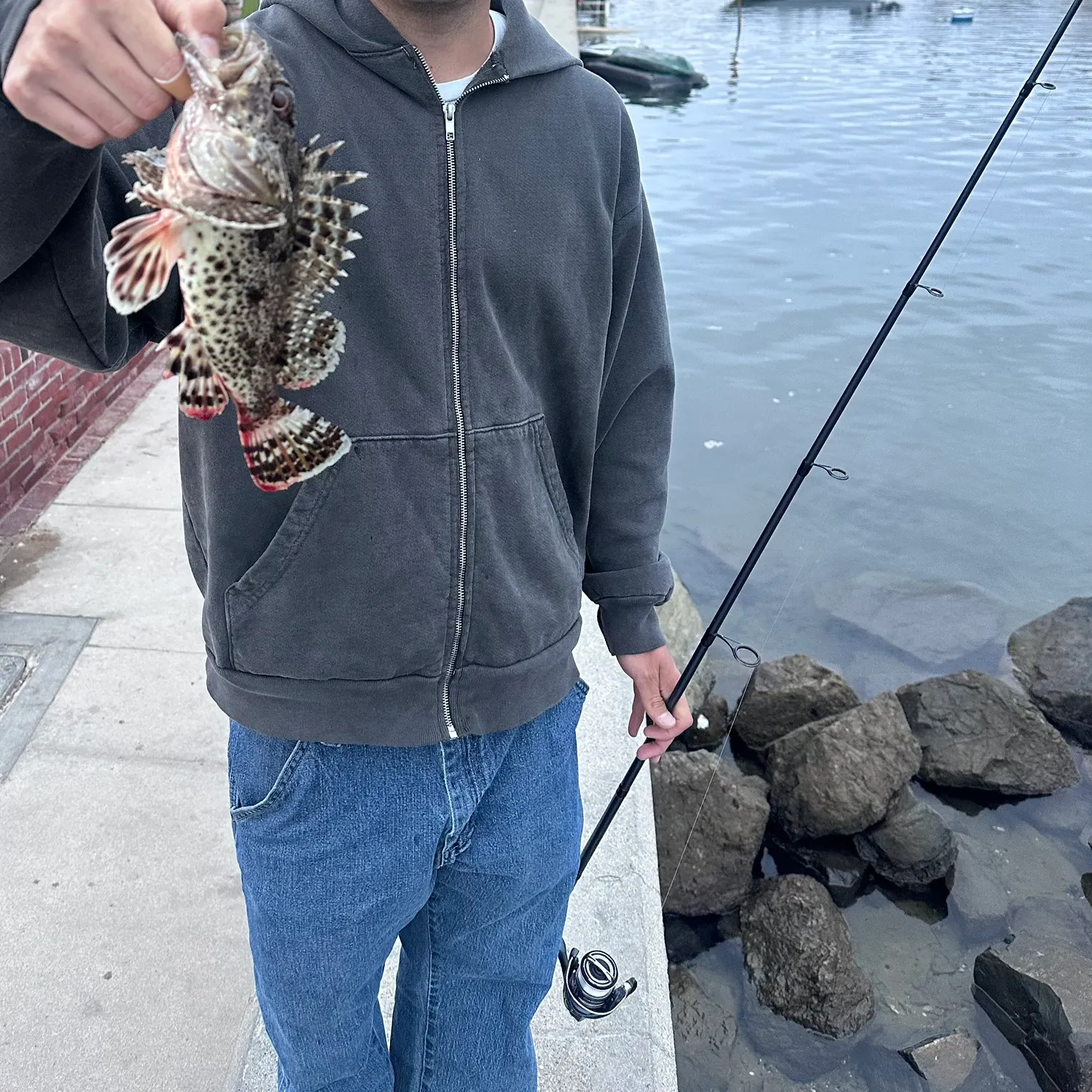 The most recent California scorpionfish catches on Fishbrain