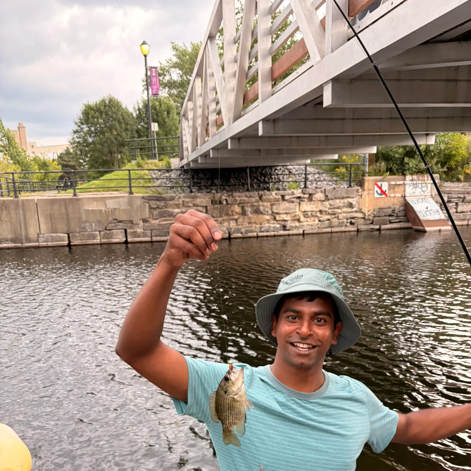 Rock bass caught on Fishbrain