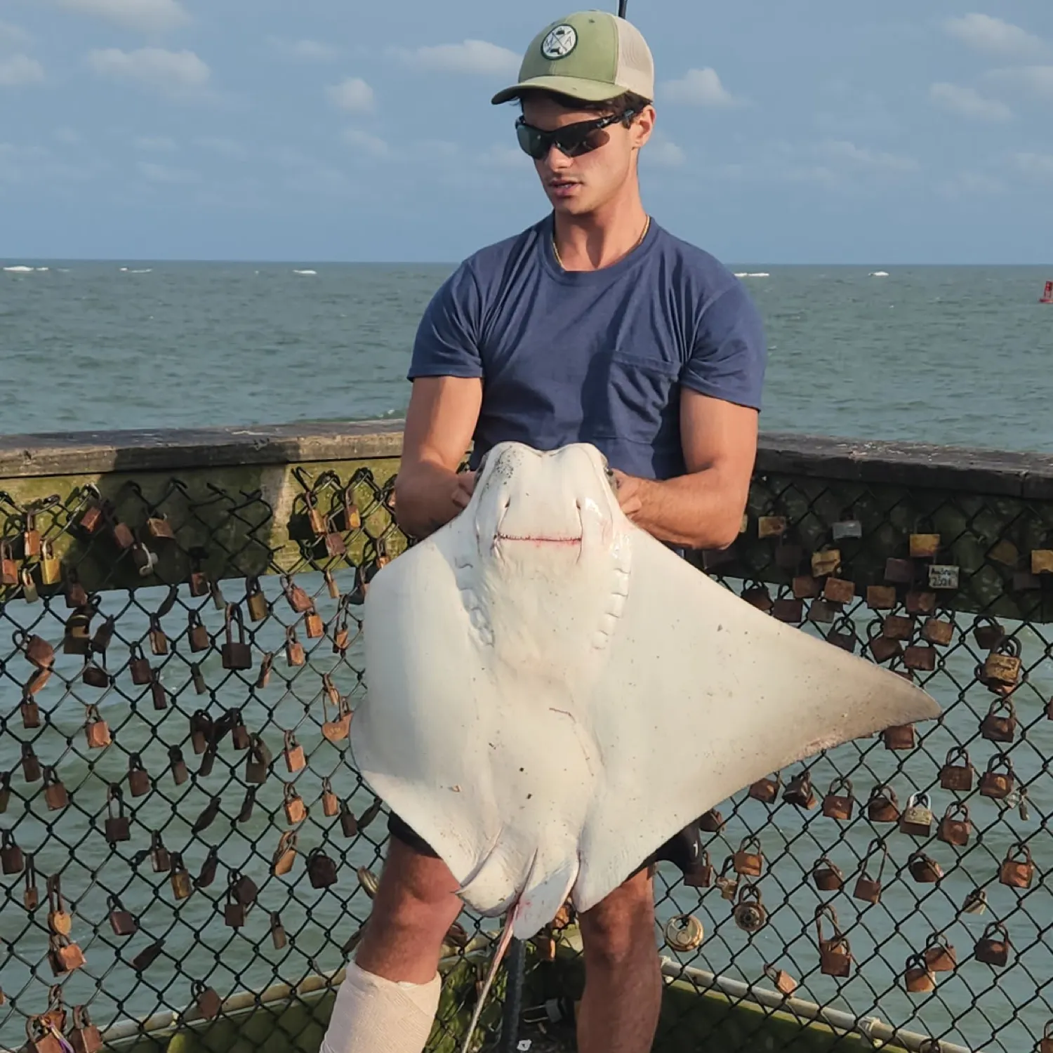 The most recent Cownose Ray catches on Fishbrain