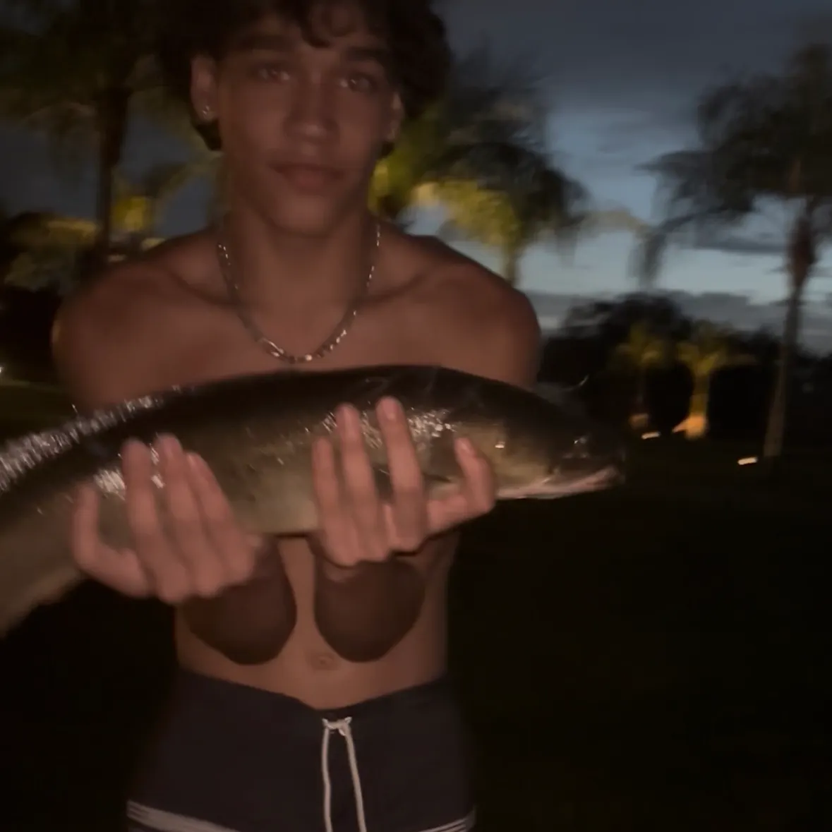 Ruddy bowfin caught on Fishbrain