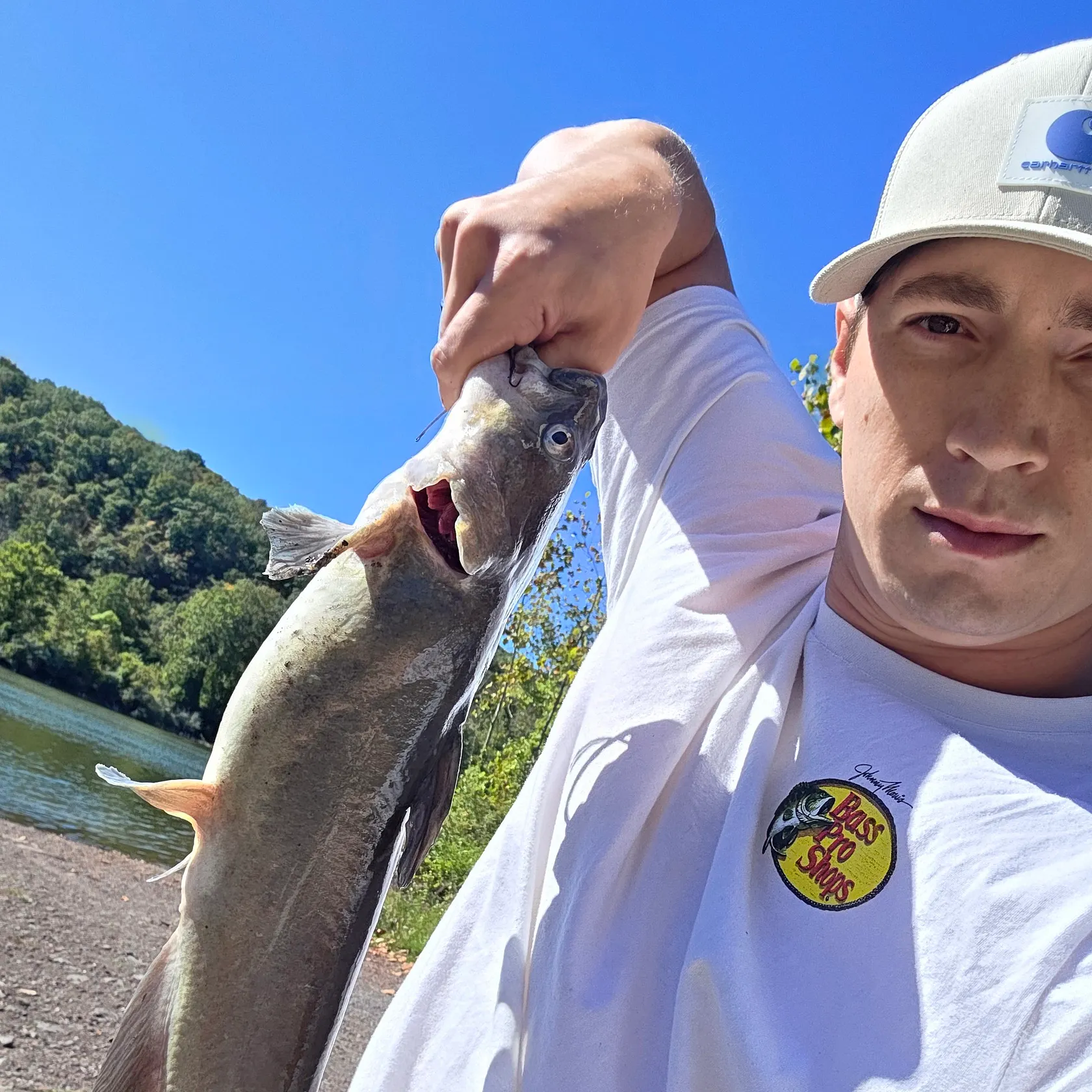 Channel catfish caught on Fishbrain