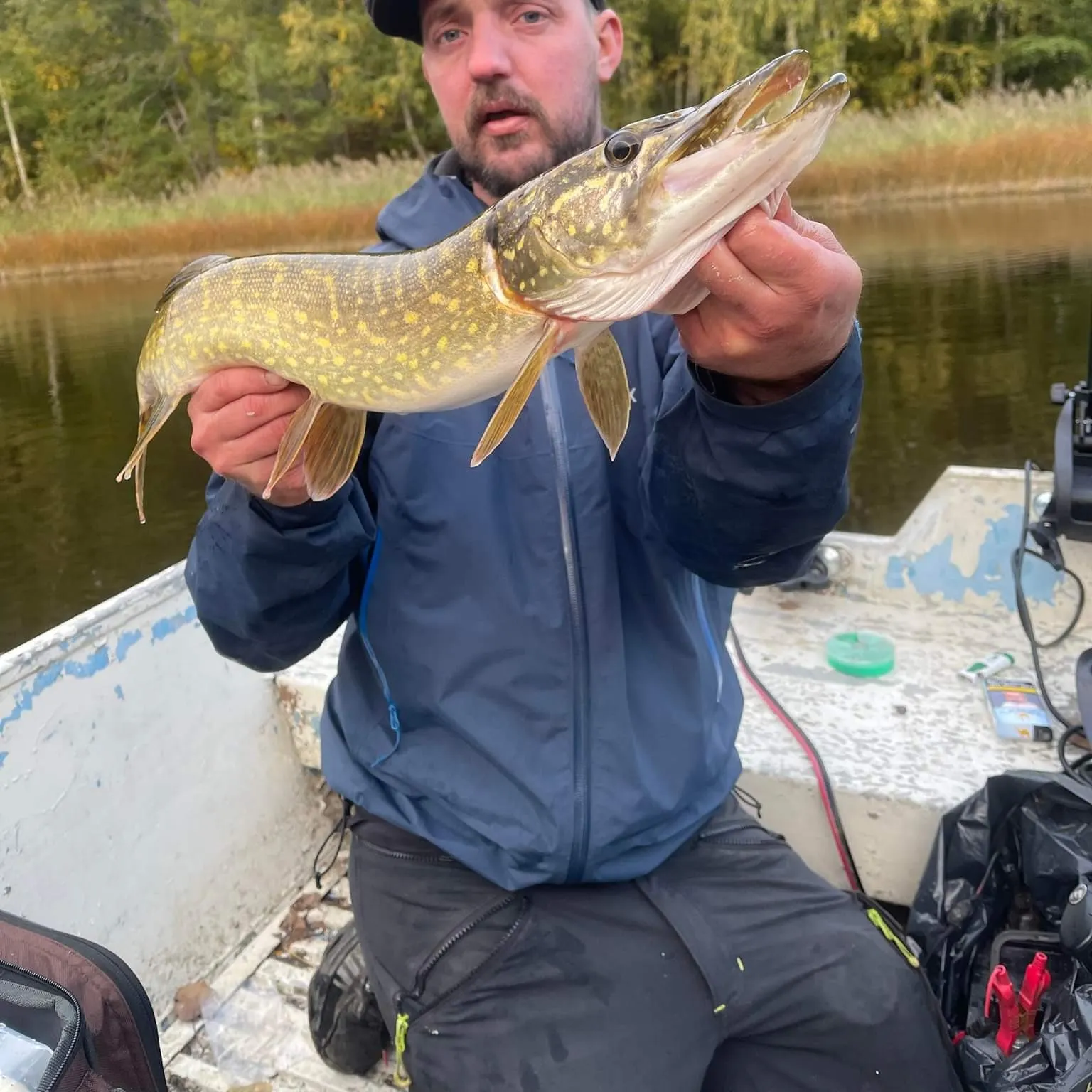 angler catch