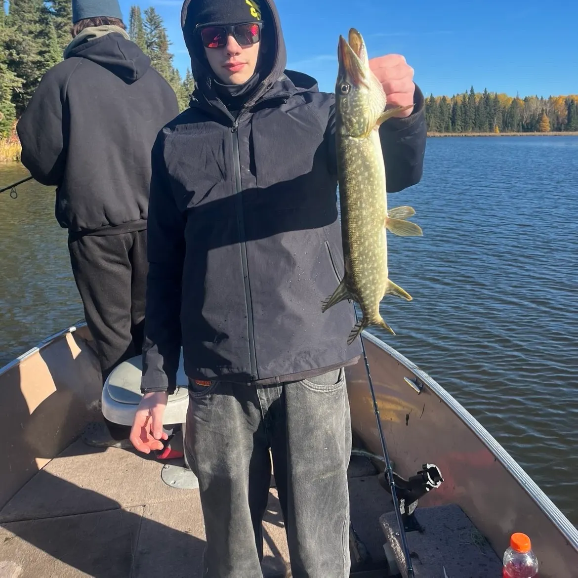 Northern pike caught on Fishbrain