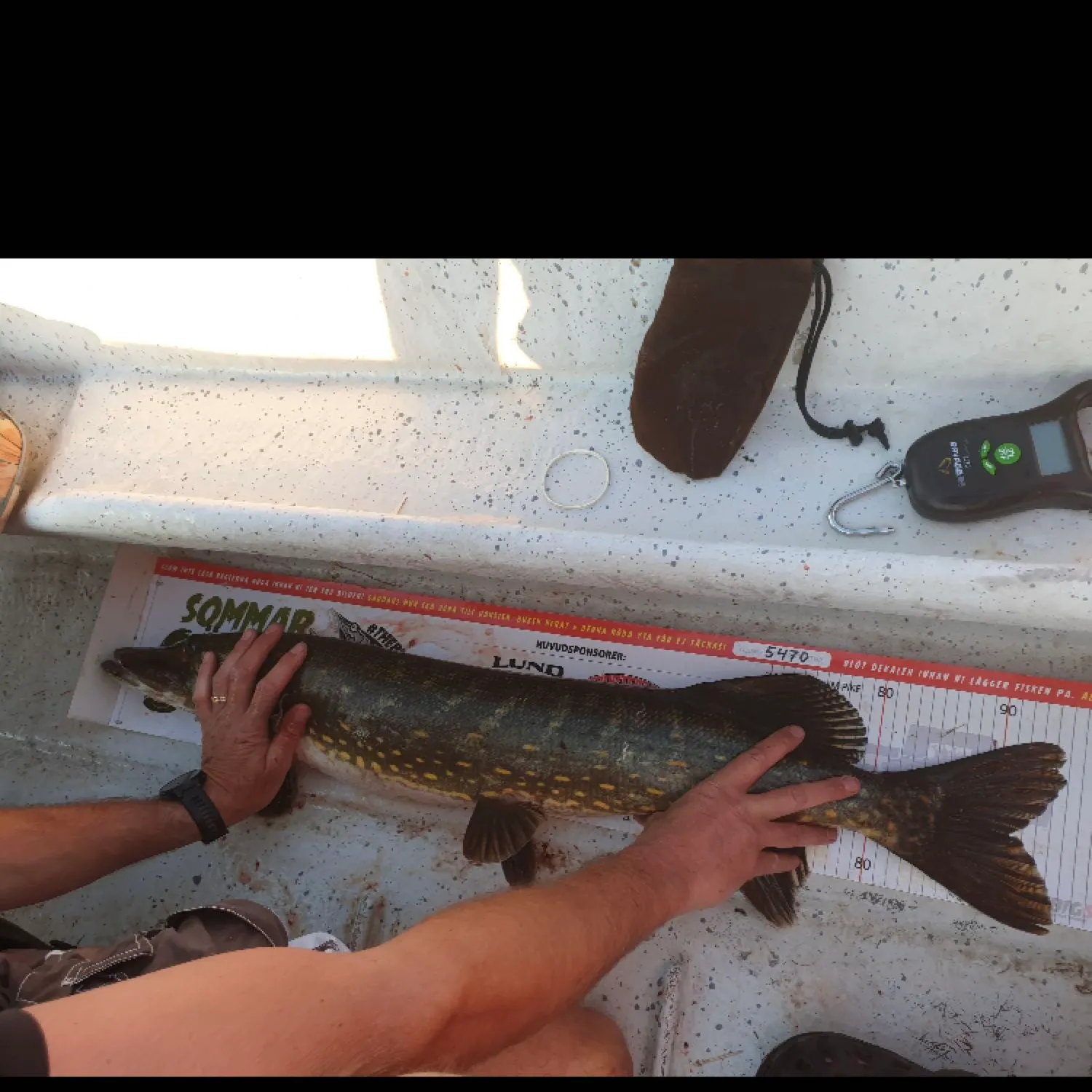recently logged catches