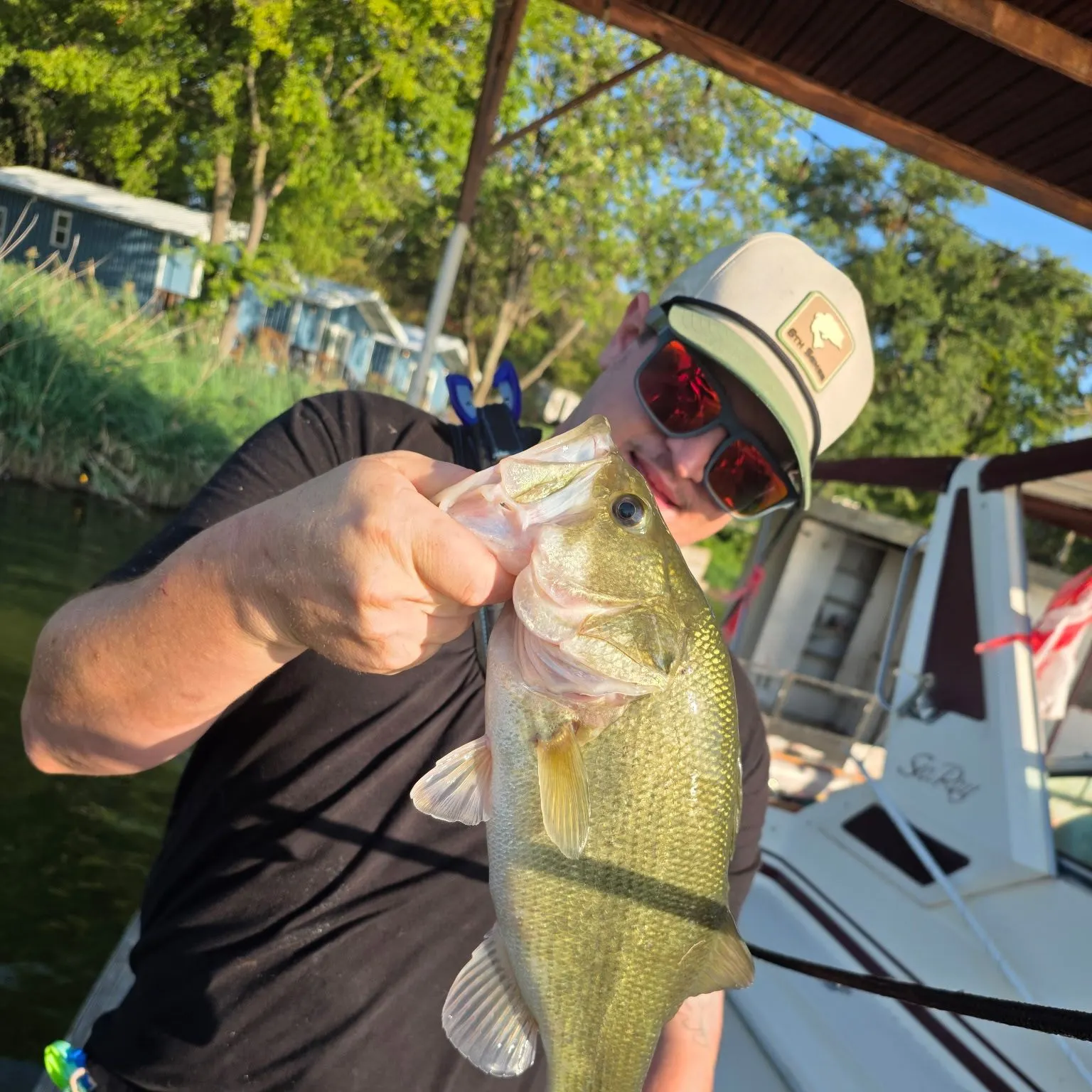 Largemouth bass caught on Fishbrain