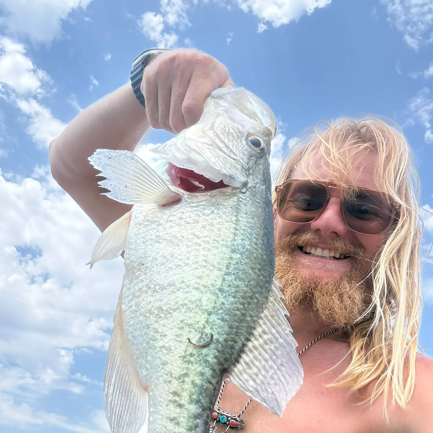 White crappie caught on Fishbrain