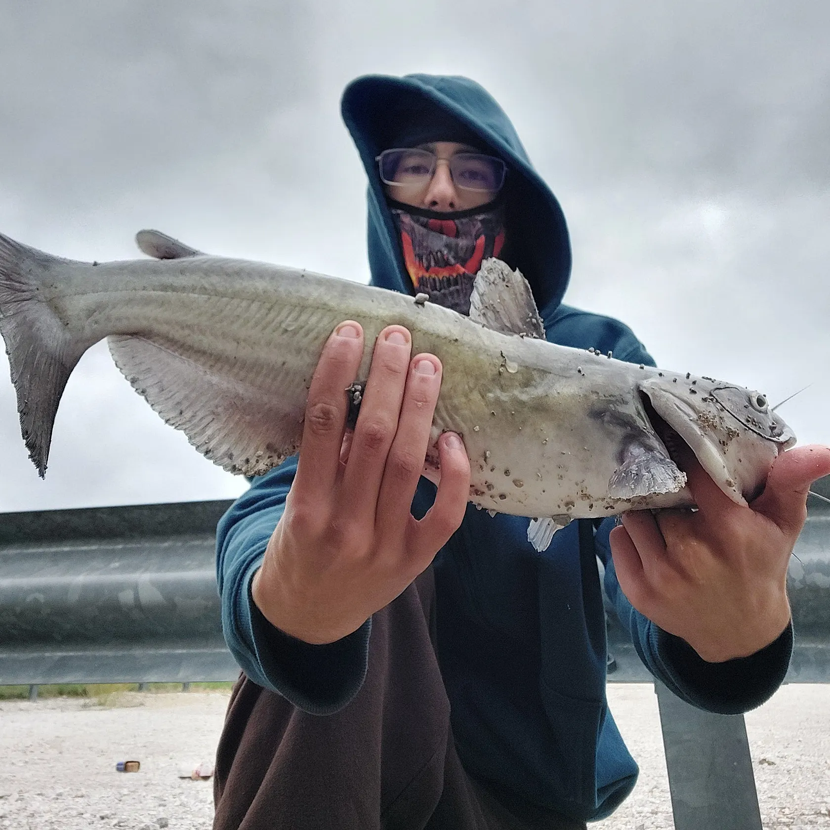 Channel catfish caught on Fishbrain
